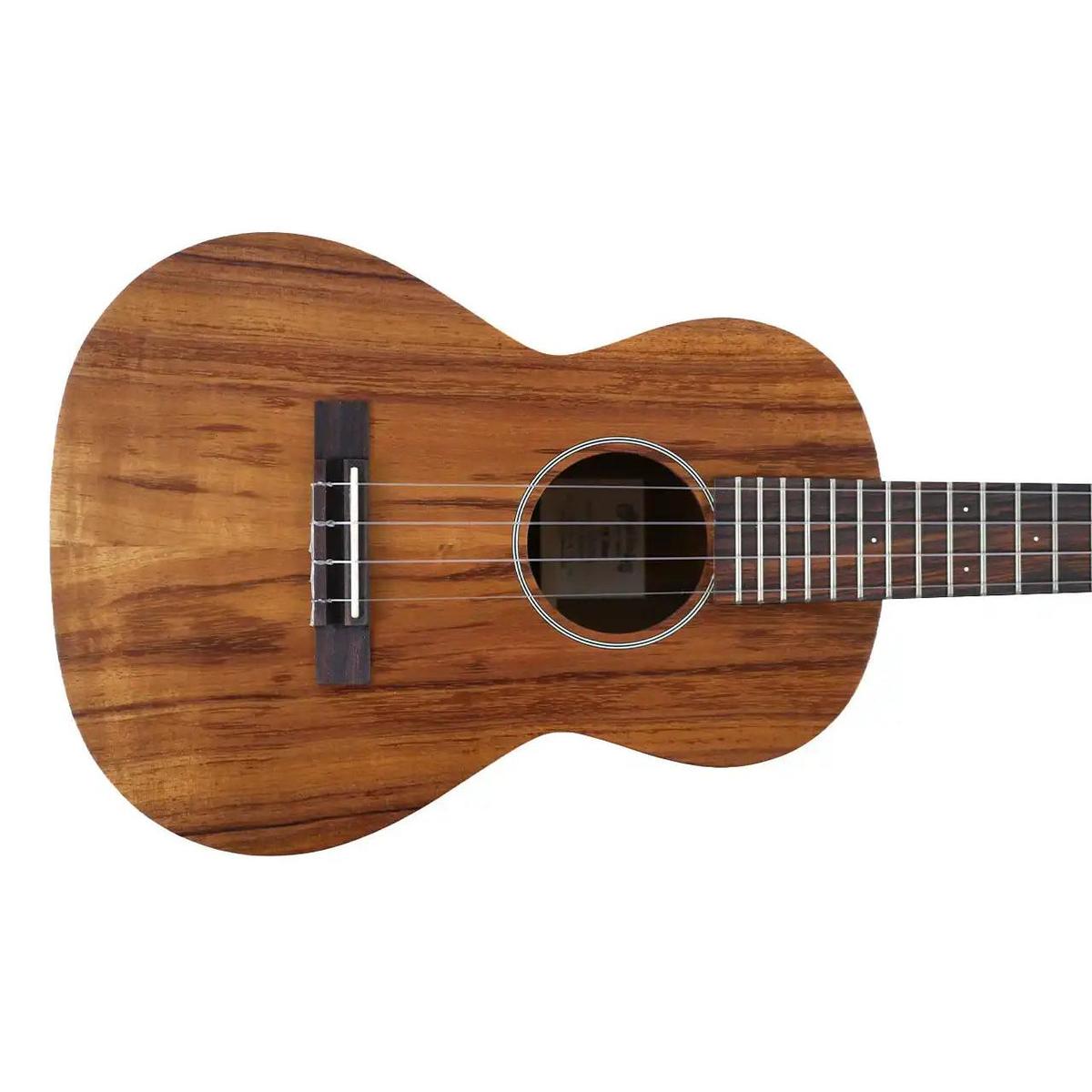 MARTIN_T1KUKE_2_1 | Terry Carter Music Store