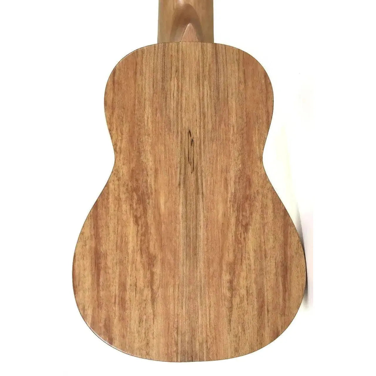 MAS-4-2 | Terry Carter Music Store