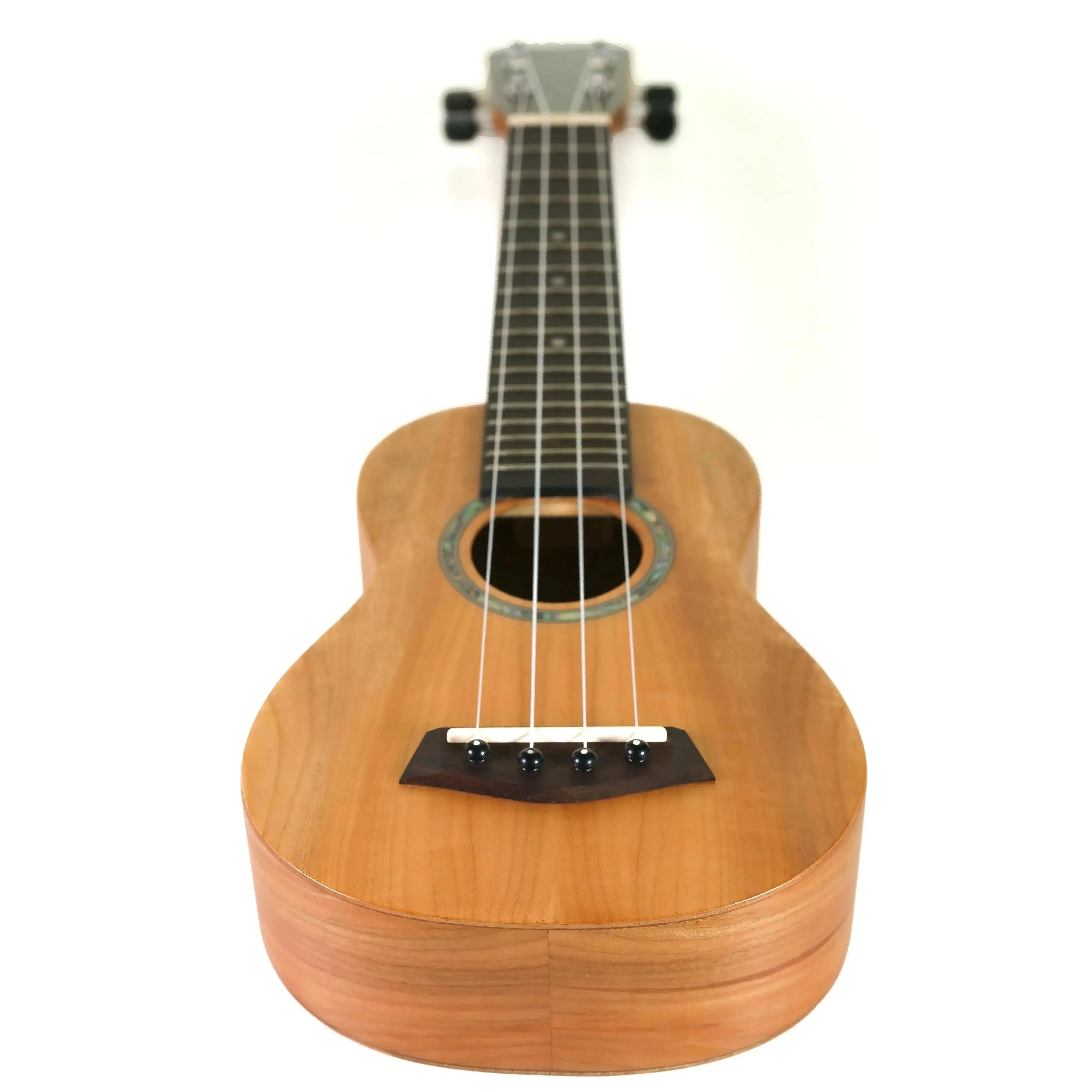 MAS-4-4 | Terry Carter Music Store