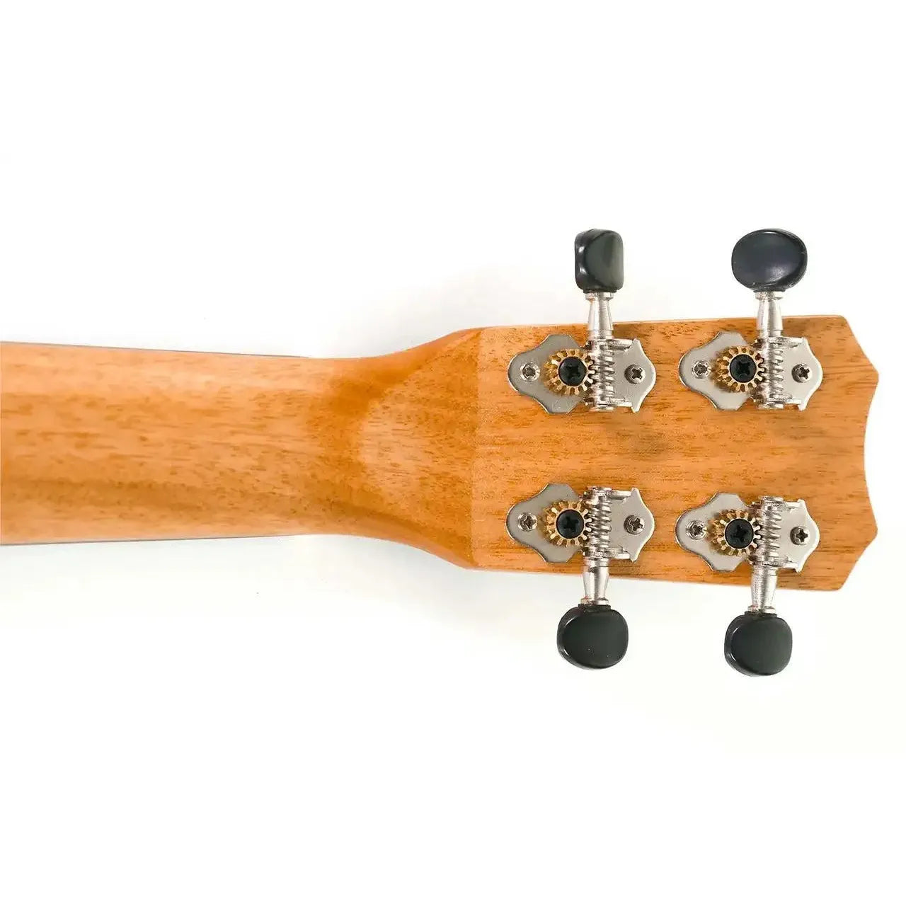 MAS-4-6 | Terry Carter Music Store