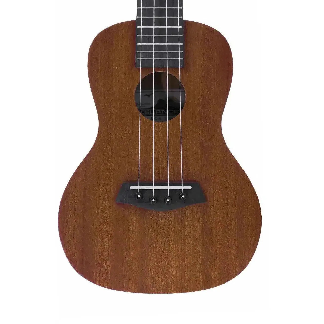 MC-4-1 | Terry Carter Music Store