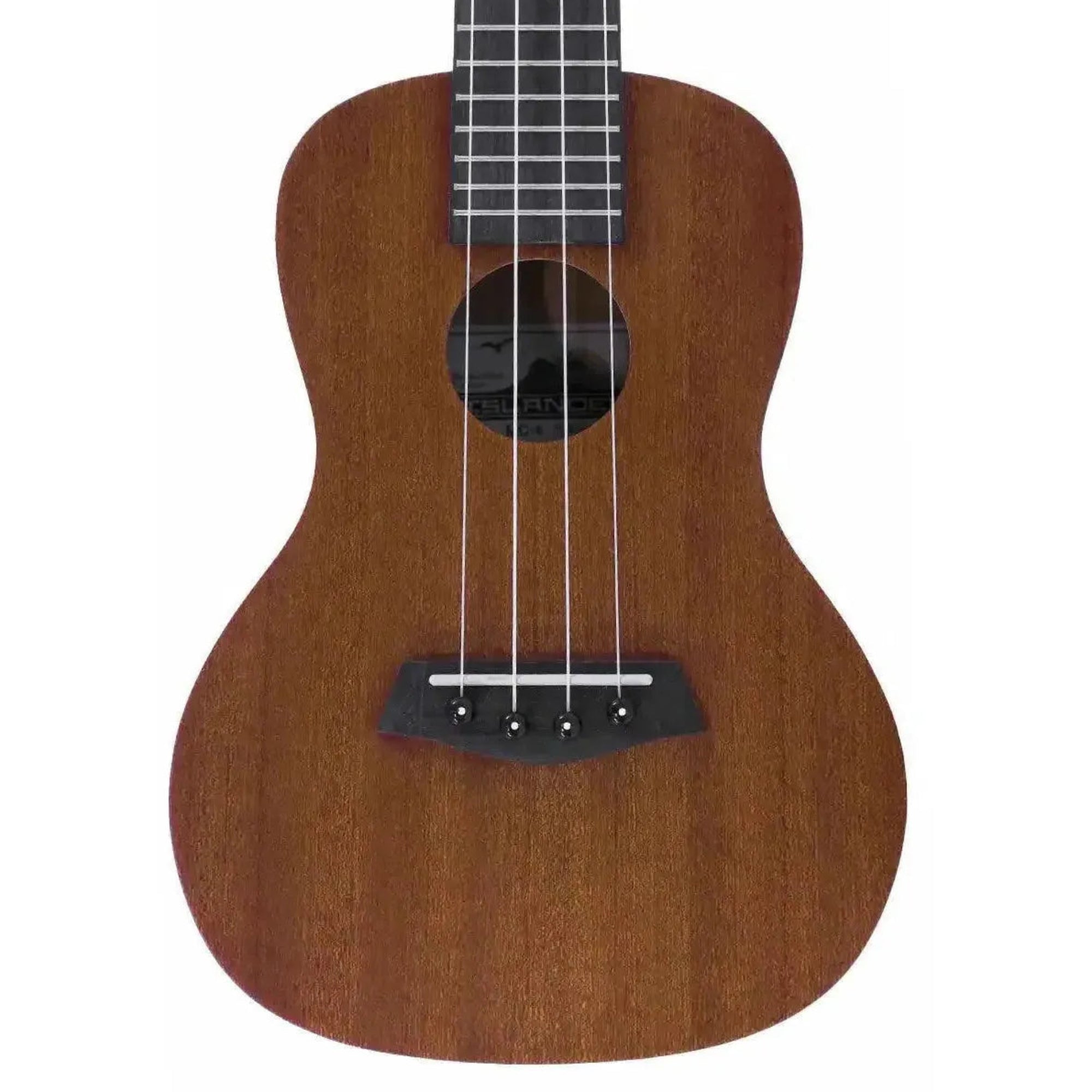 MC-4-1 | Terry Carter Music Store