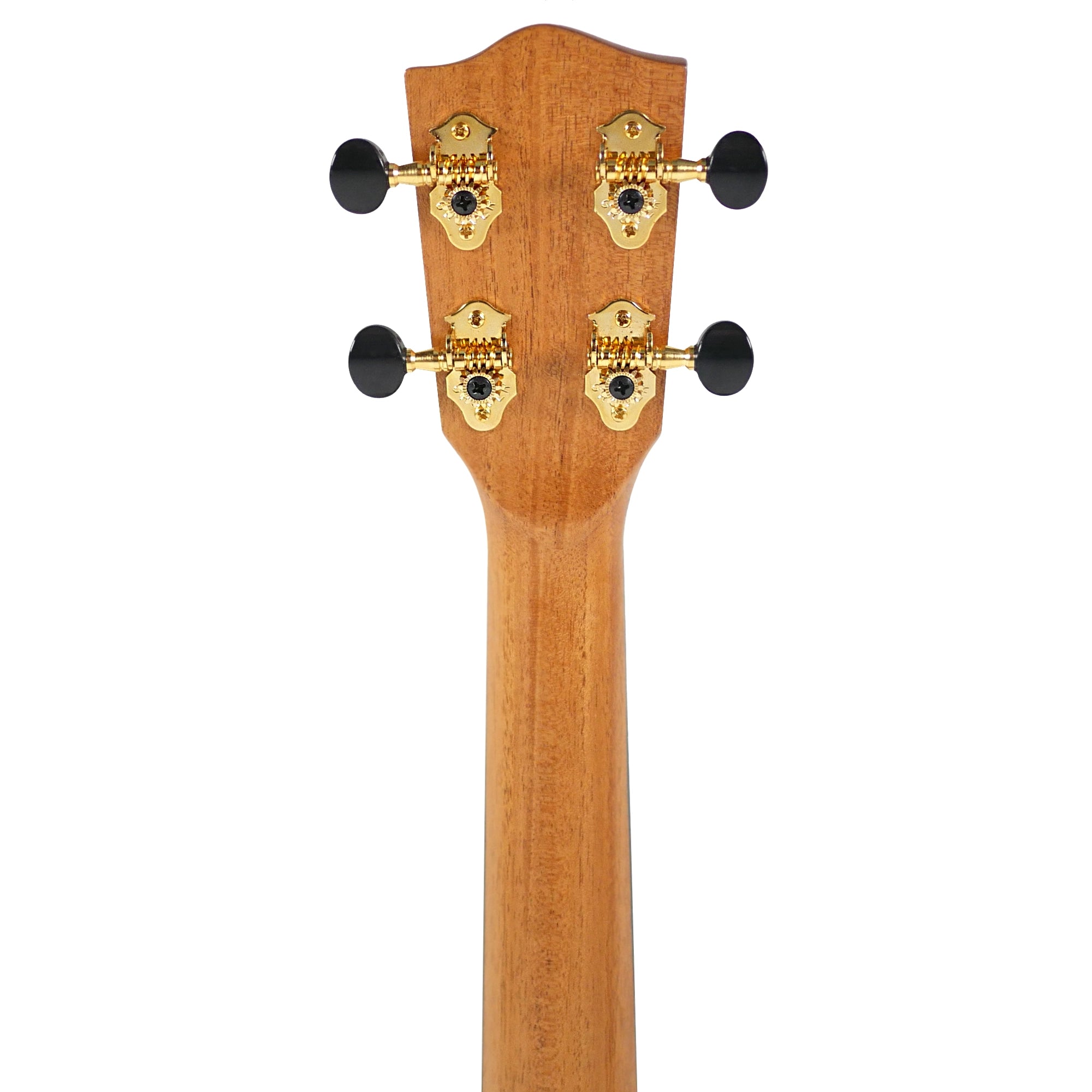 Close-up of a Pono MGBD Ukulele headstock with four gold tuning keys and black tuning knobs.