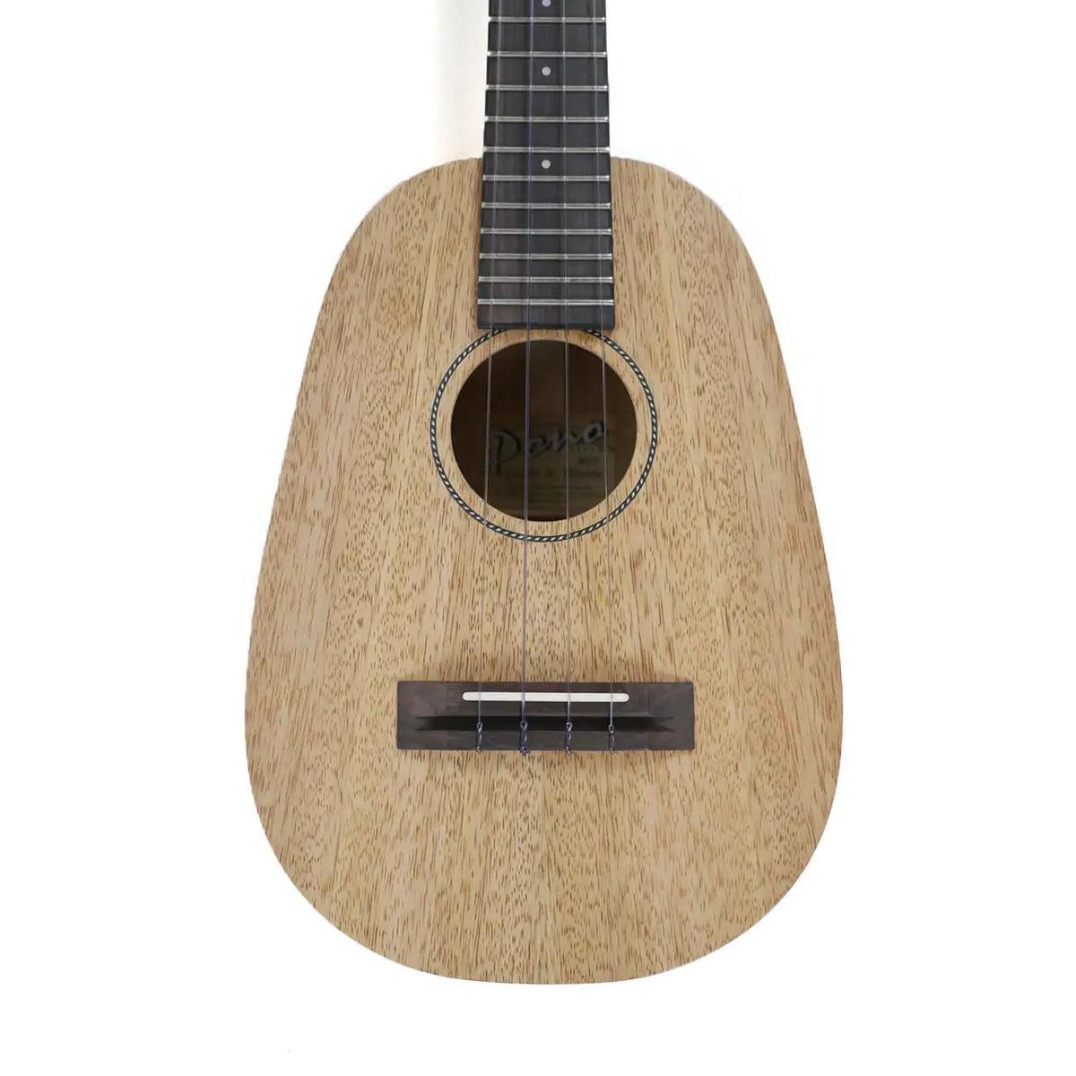 MGTP-1 | Terry Carter Music Store