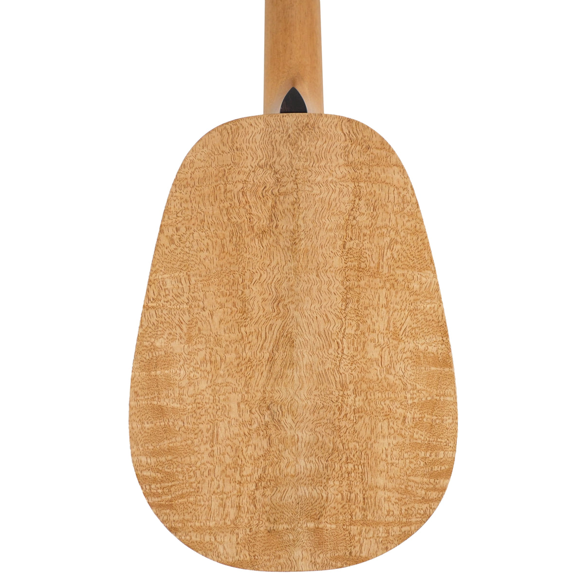The rear body view highlights the distinctive solid mango grain and satin finish of the Pono MGTP Tenor Ukulele.