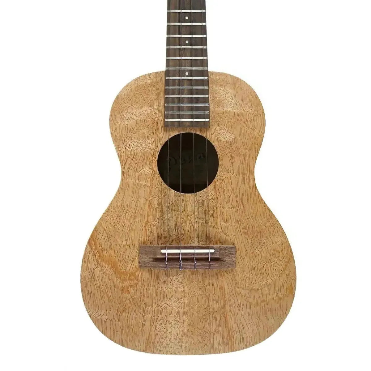 MGT_K_2_1 | Terry Carter Music Store