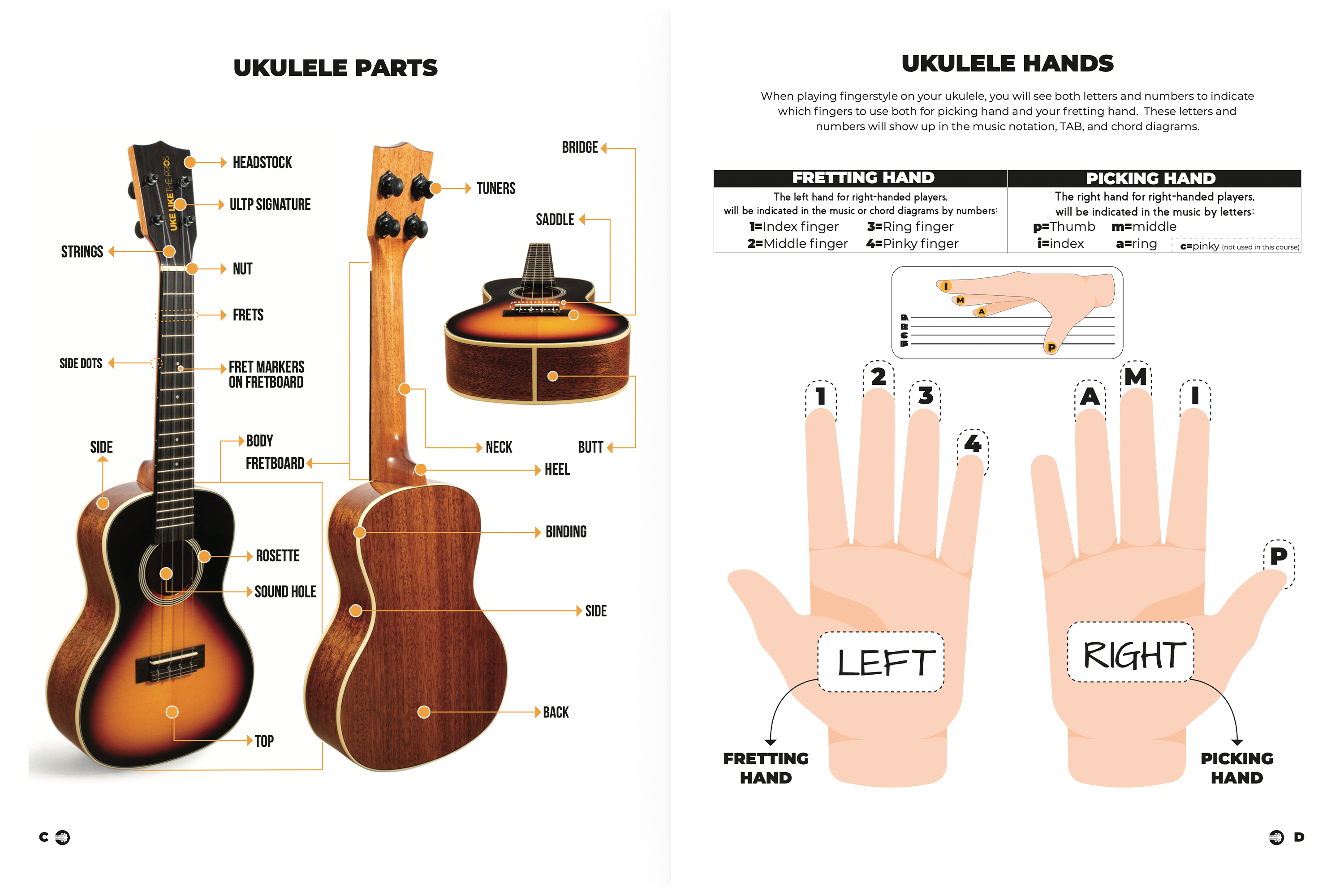Master The Ukulele 1 Book by Terry Carter