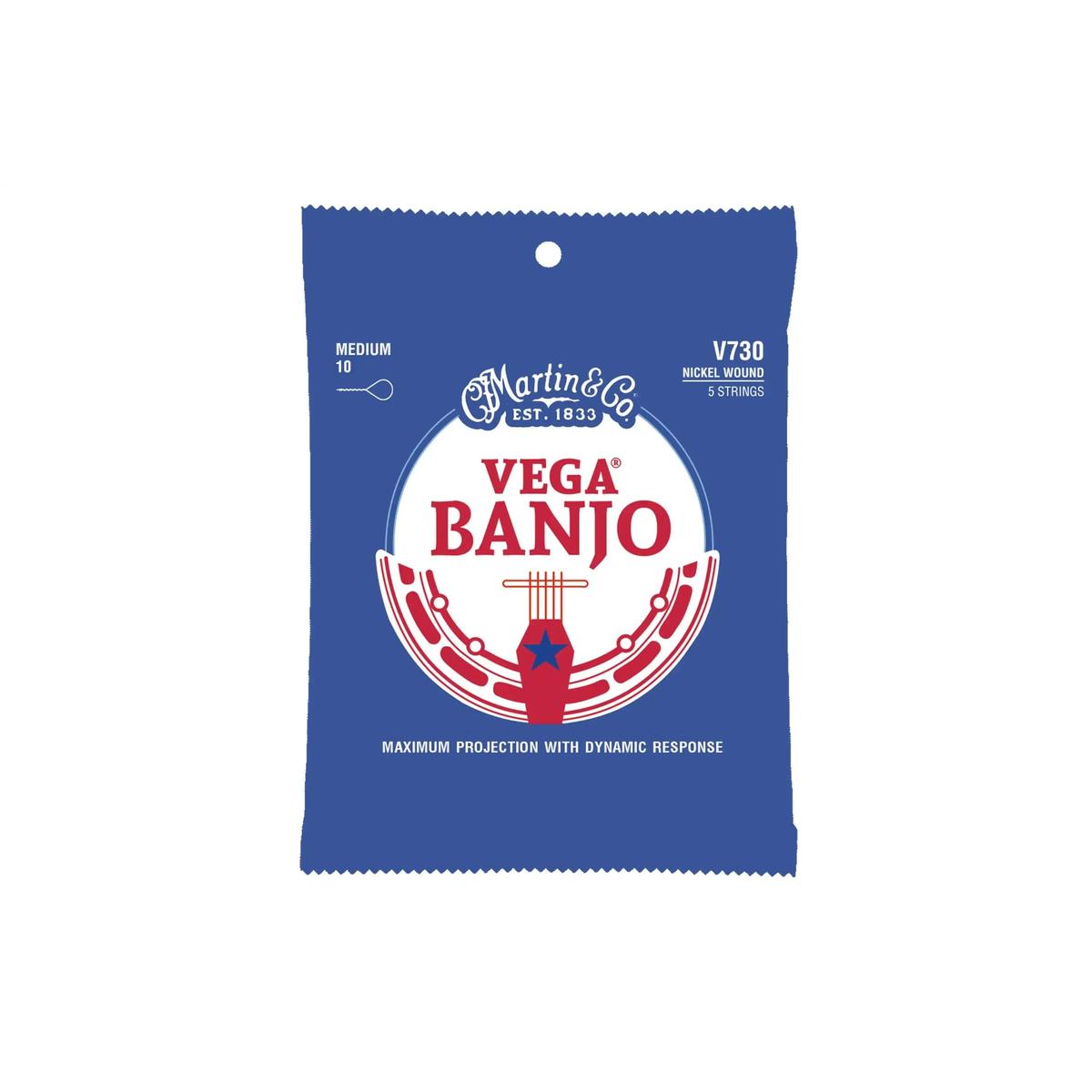 Martin-V730-Banjo-Strings | Terry Carter Music Store