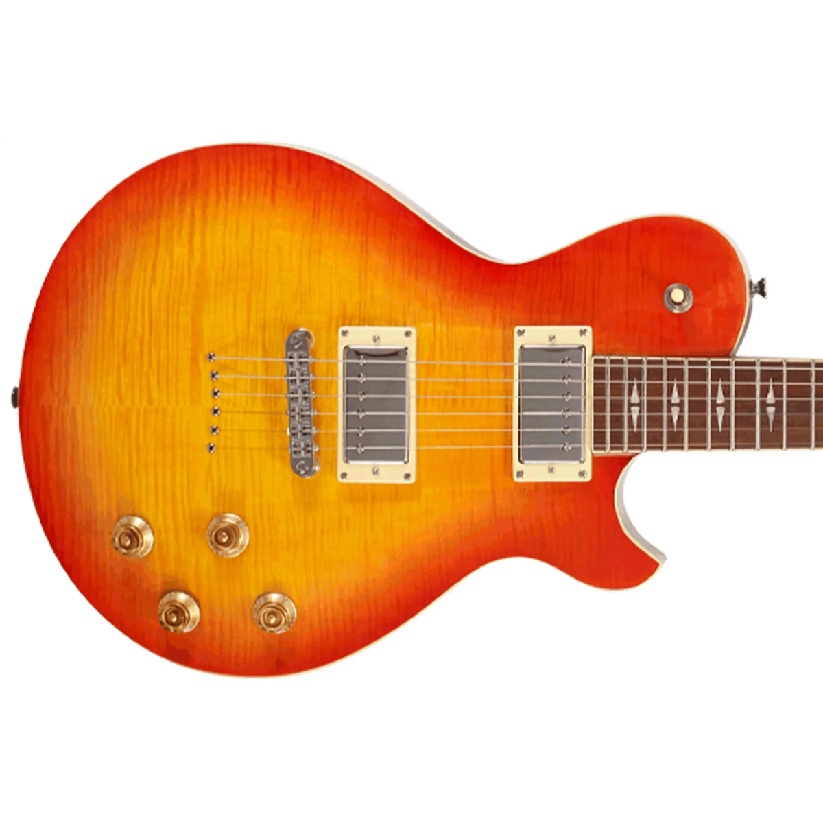Michael-Kelly-Patriot-Decree-Electric-Guitar2cb | Terry Carter Music Store