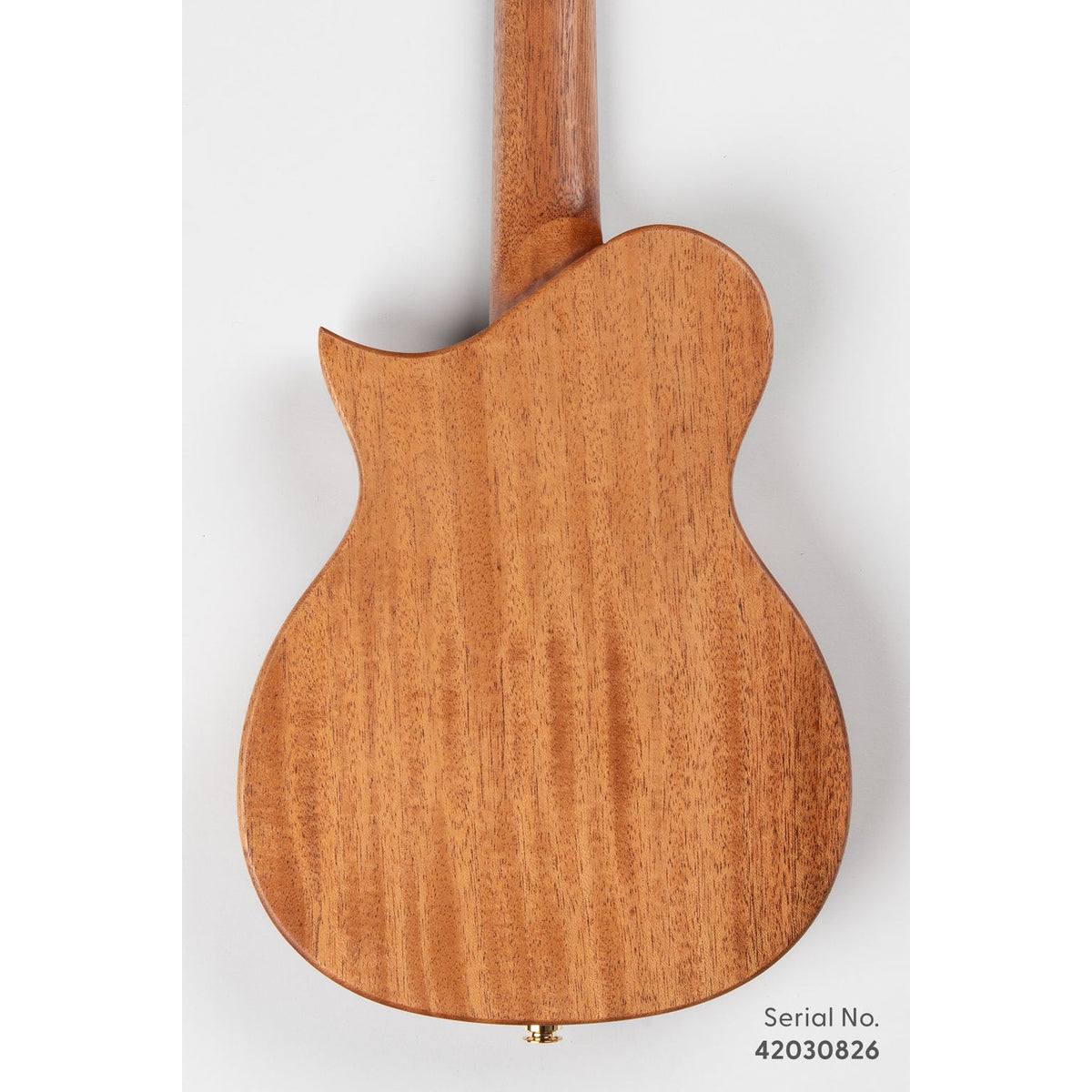 Kala NSL-SUGI-T Revelator Nautilus Limited Hawaiian Sugi Tenor Ukulele, serial 42030826, back view showing the solid mahogany back