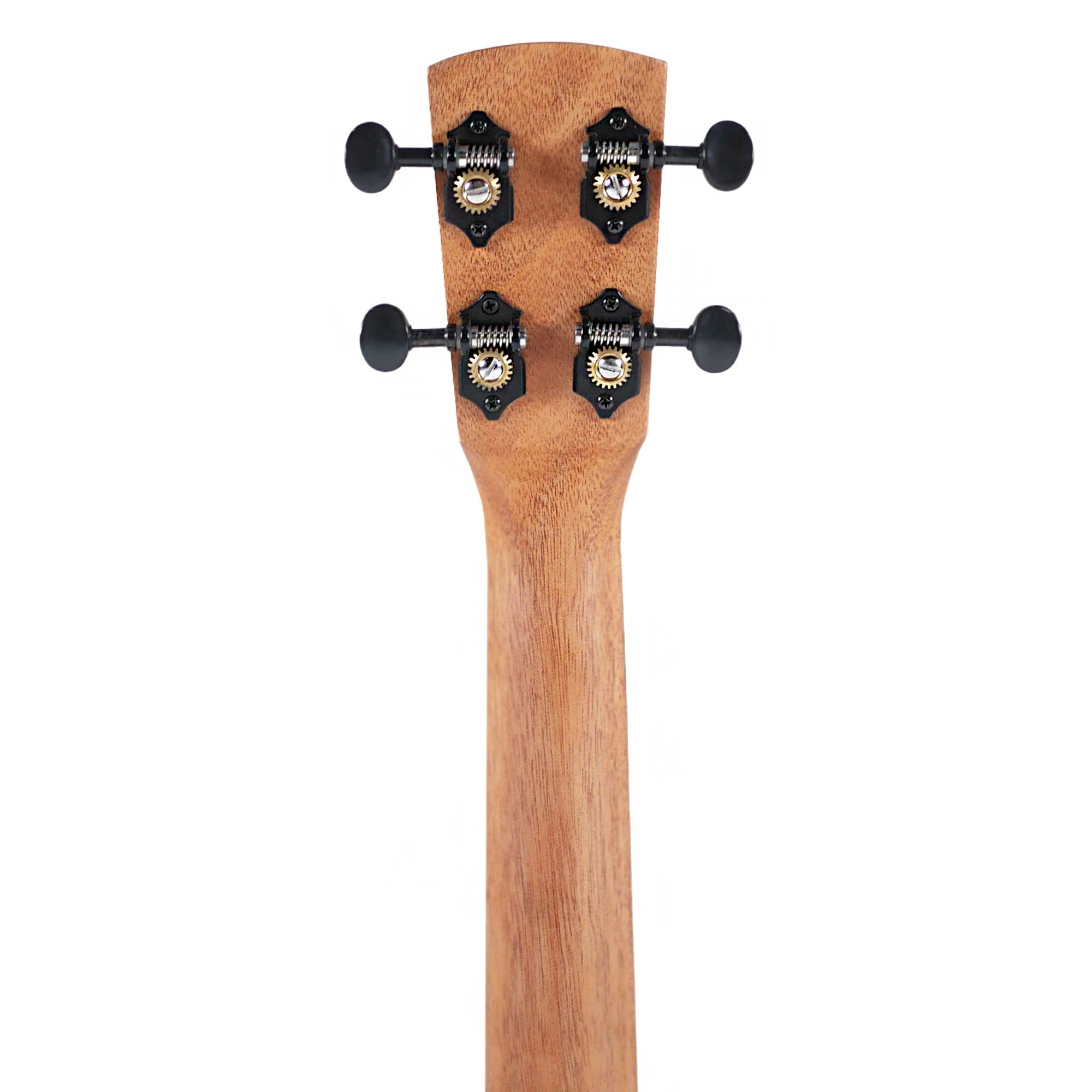 Kala Revelator Night Owl Acacia Tenor Ukulele