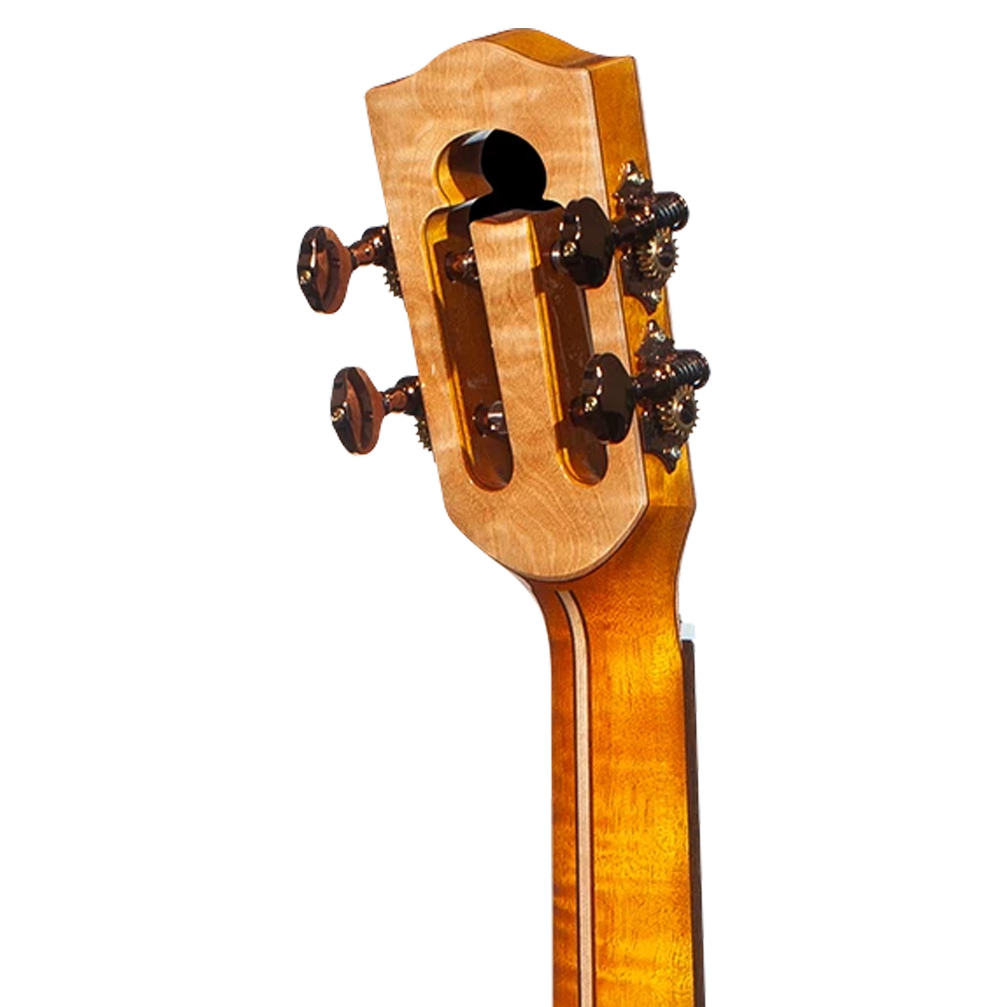 Close-up of the headstock of a wooden stringed instrument, showing the carved tailpiece, tuners, and natural wood grain on a white background.