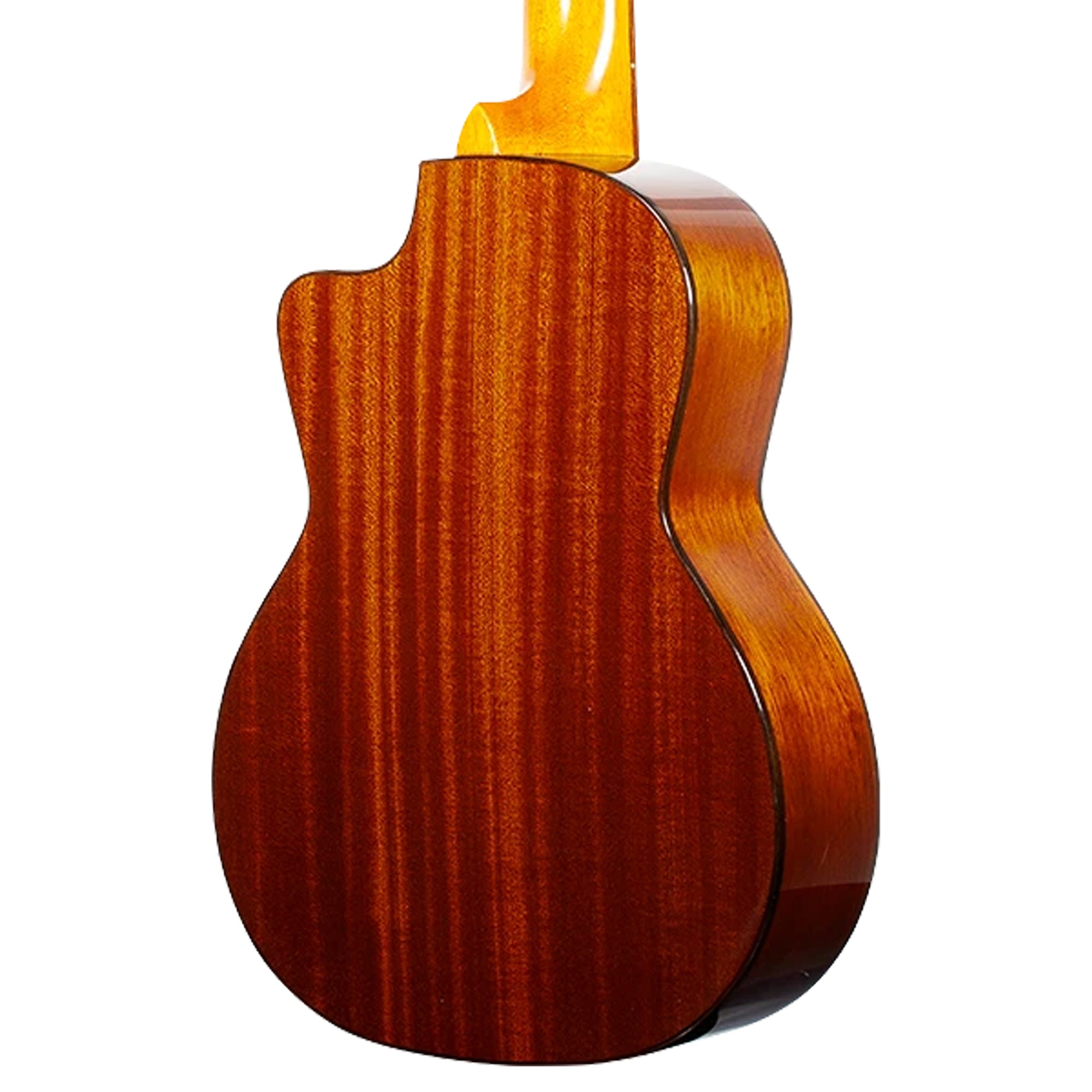 Close-up of the back of a Ohana TK-60CG showing a rich, glossy reddish-brown wood grain finish and part of the yellow neck, isolated on a white background.