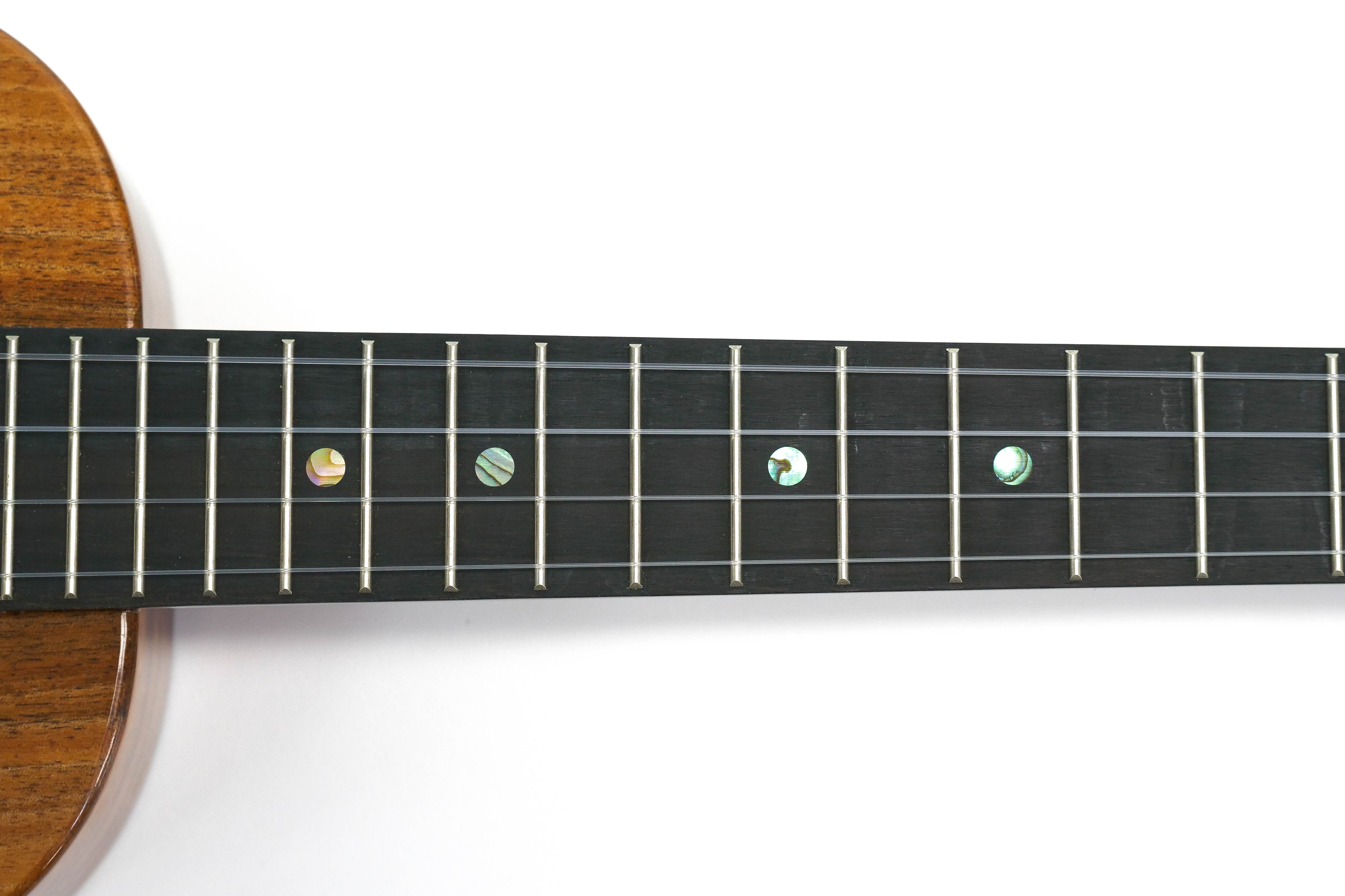 fretboard with pin inlays