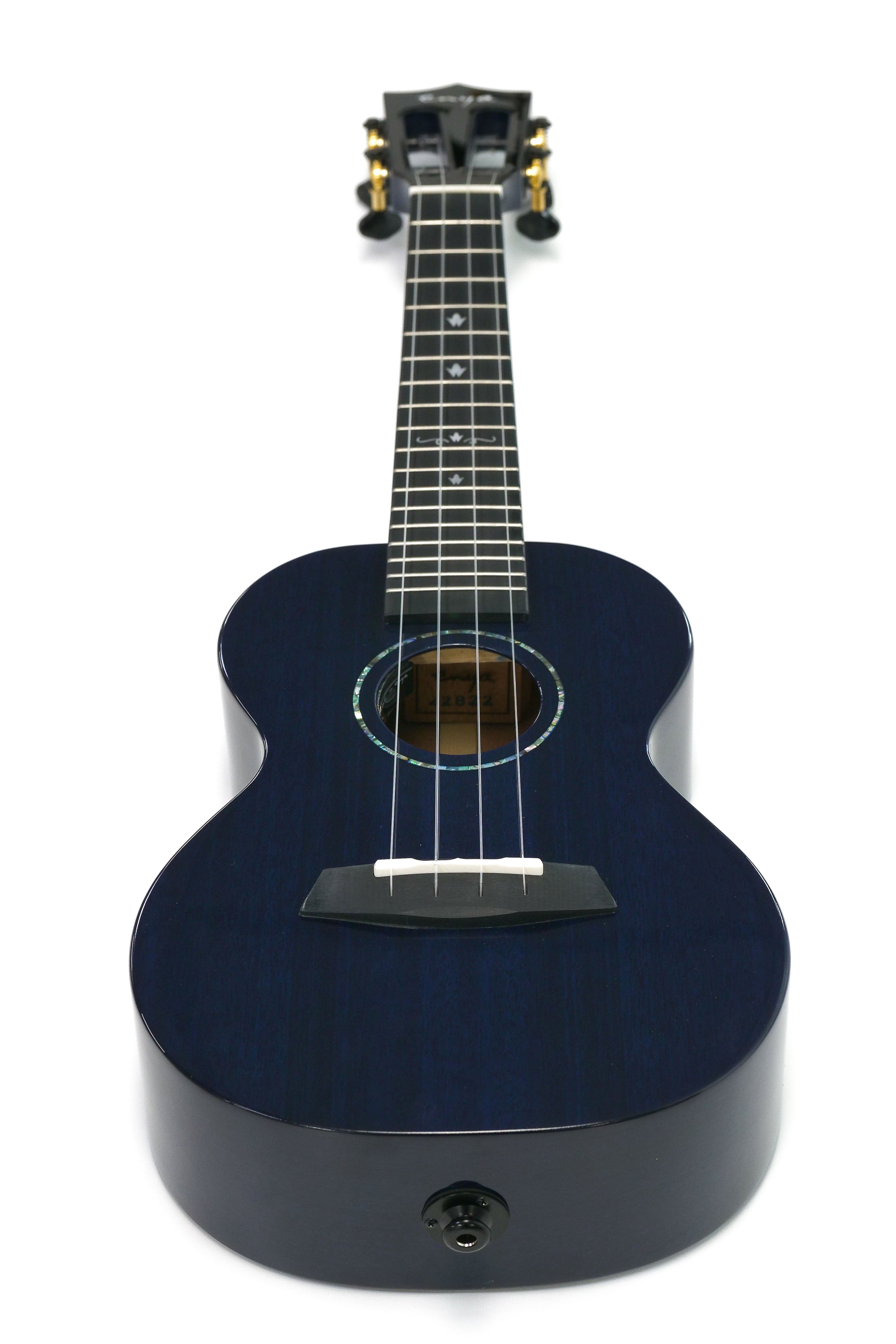 front view of uke