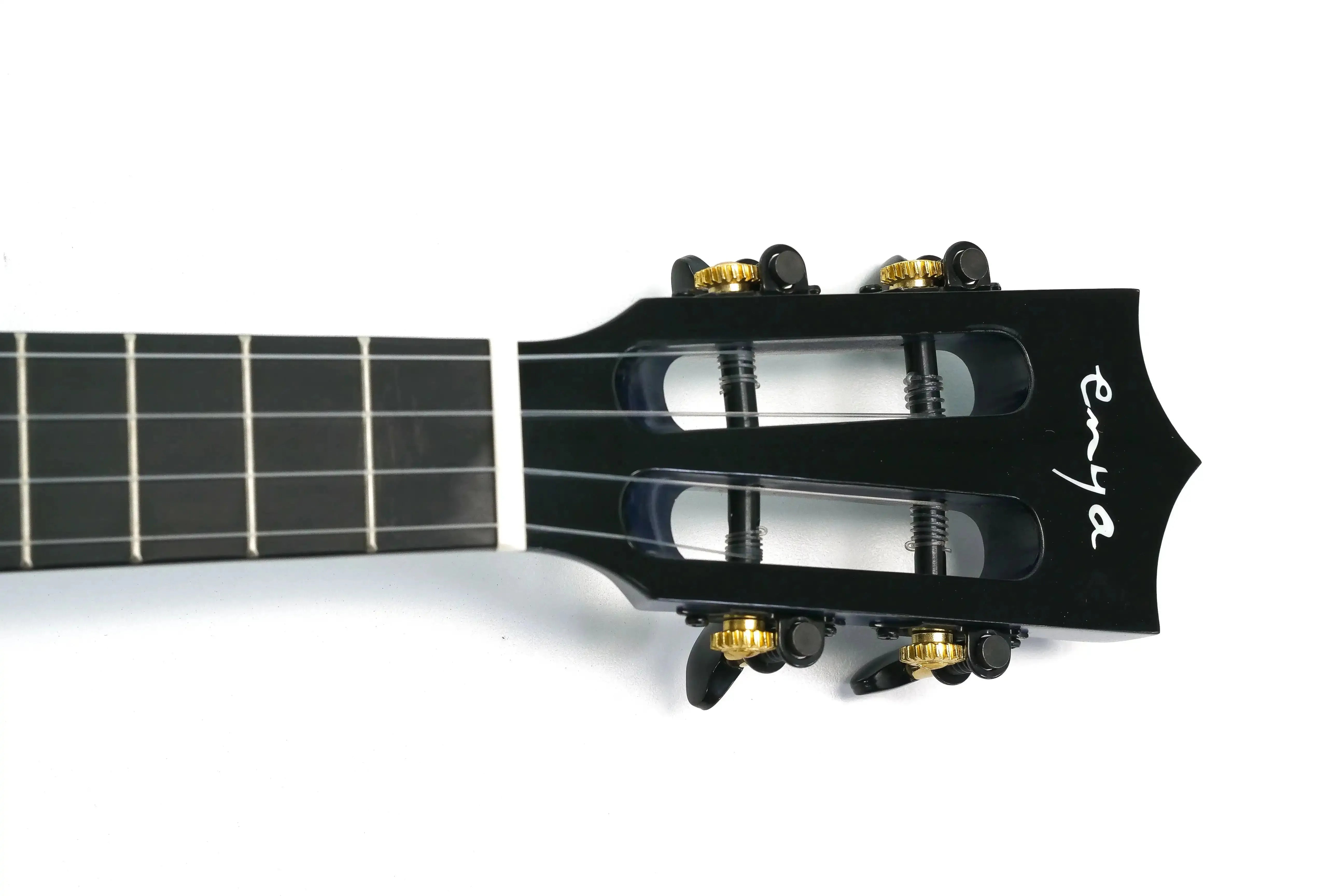 P2066216_156119ca-48a3-4a3f-b114-f420a27047ba | Terry Carter Music Store