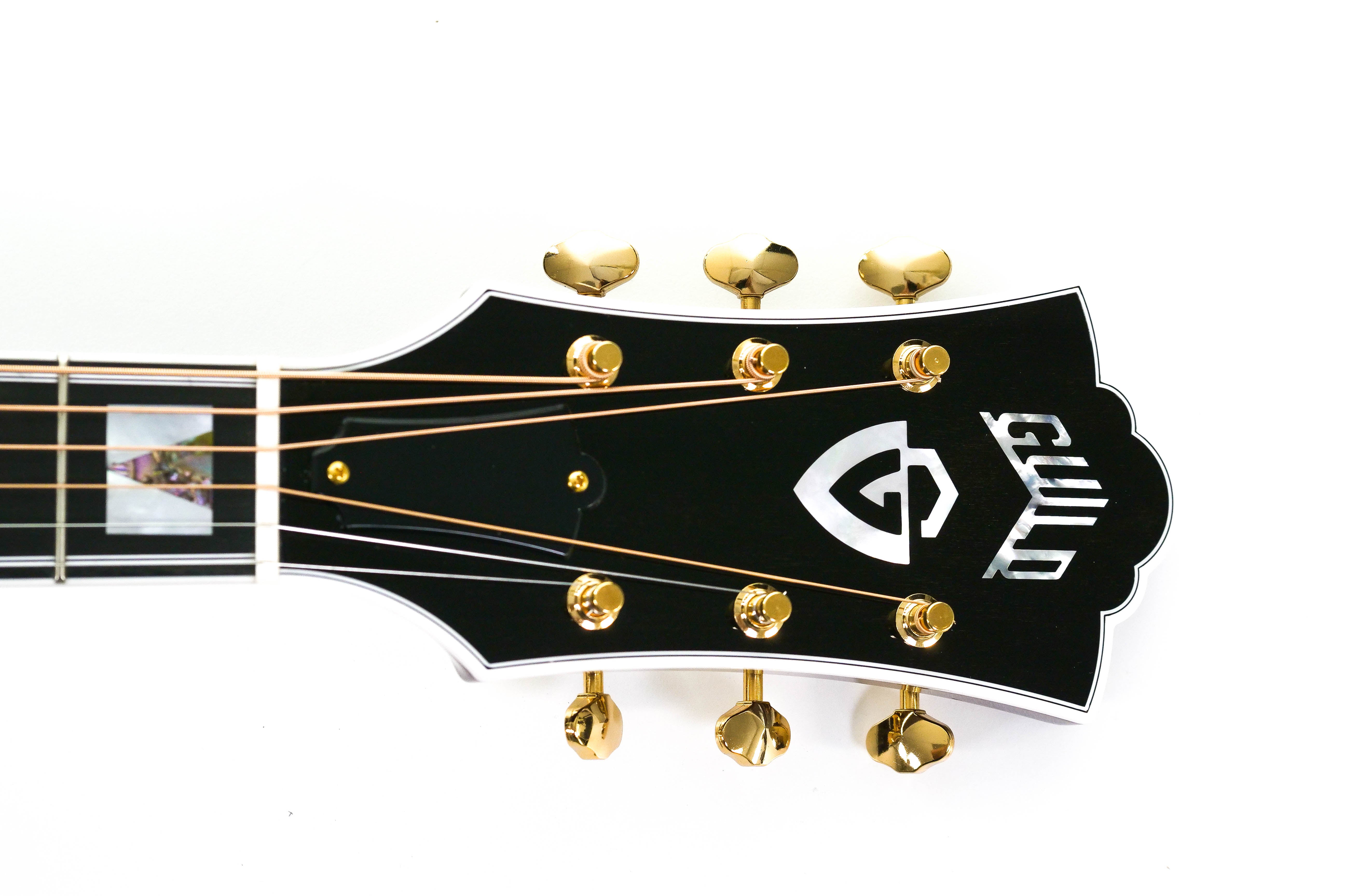 logo on headstock