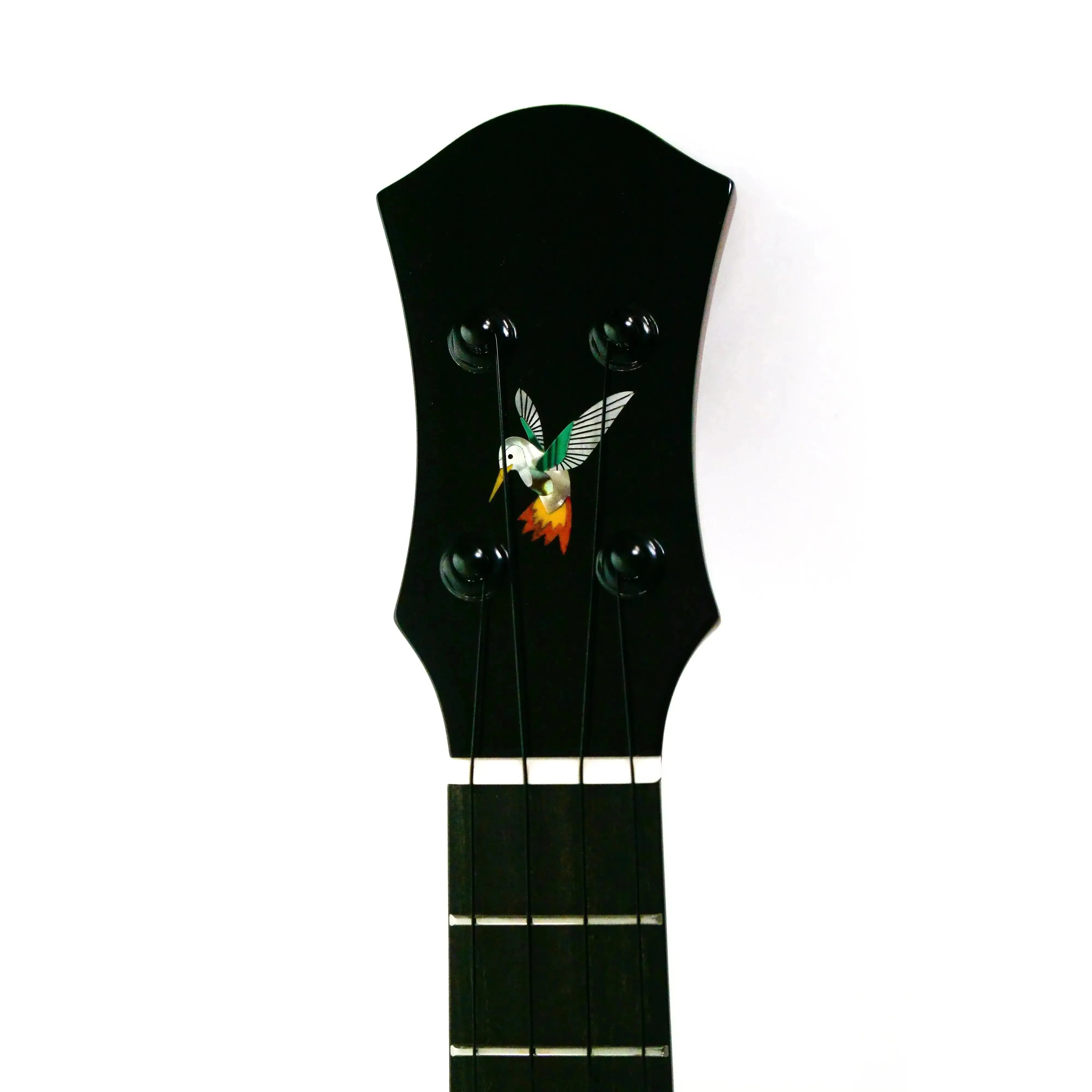 P2099769 | Terry Carter Music Store