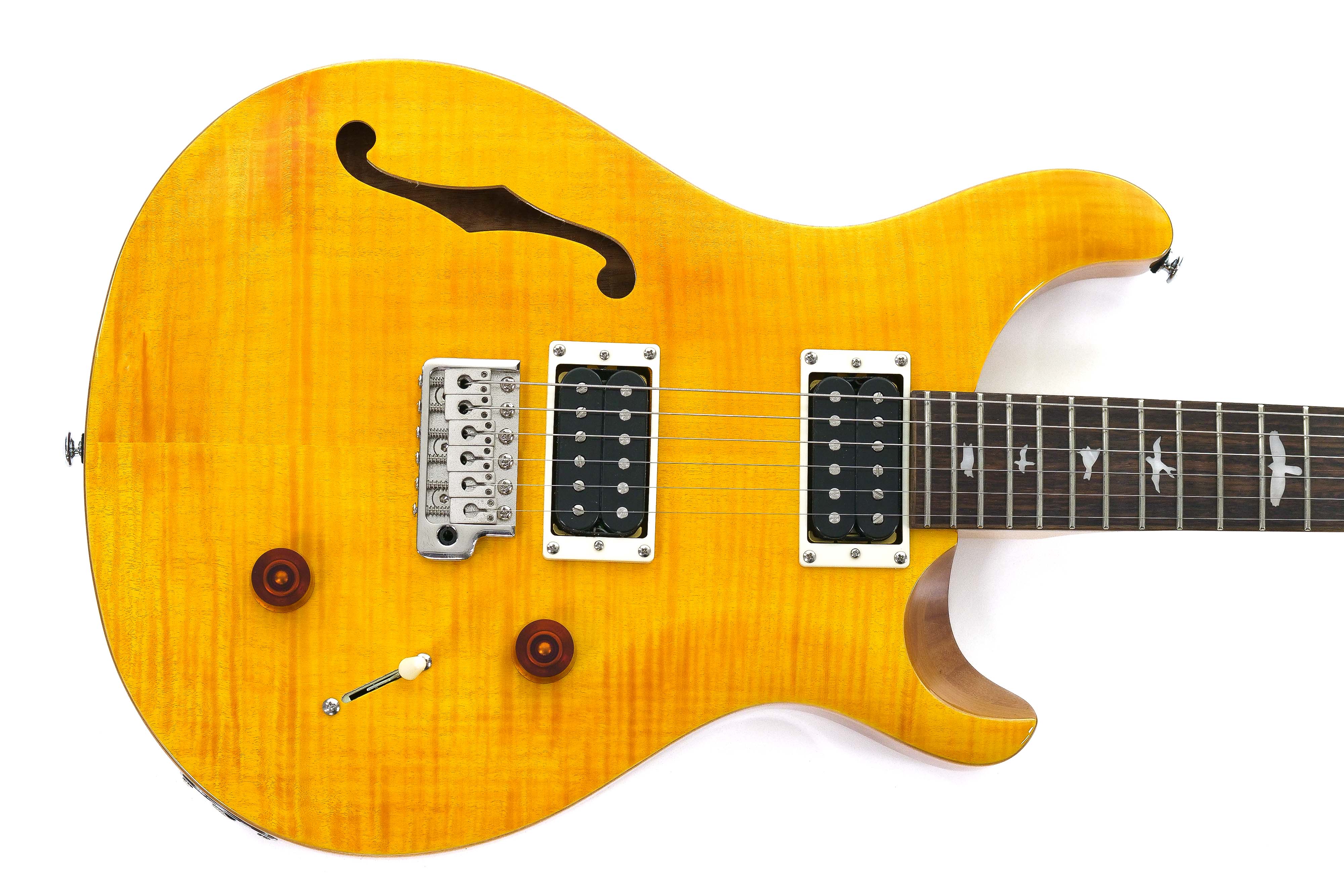 PRS SE Custom 22 Electric Guitar 