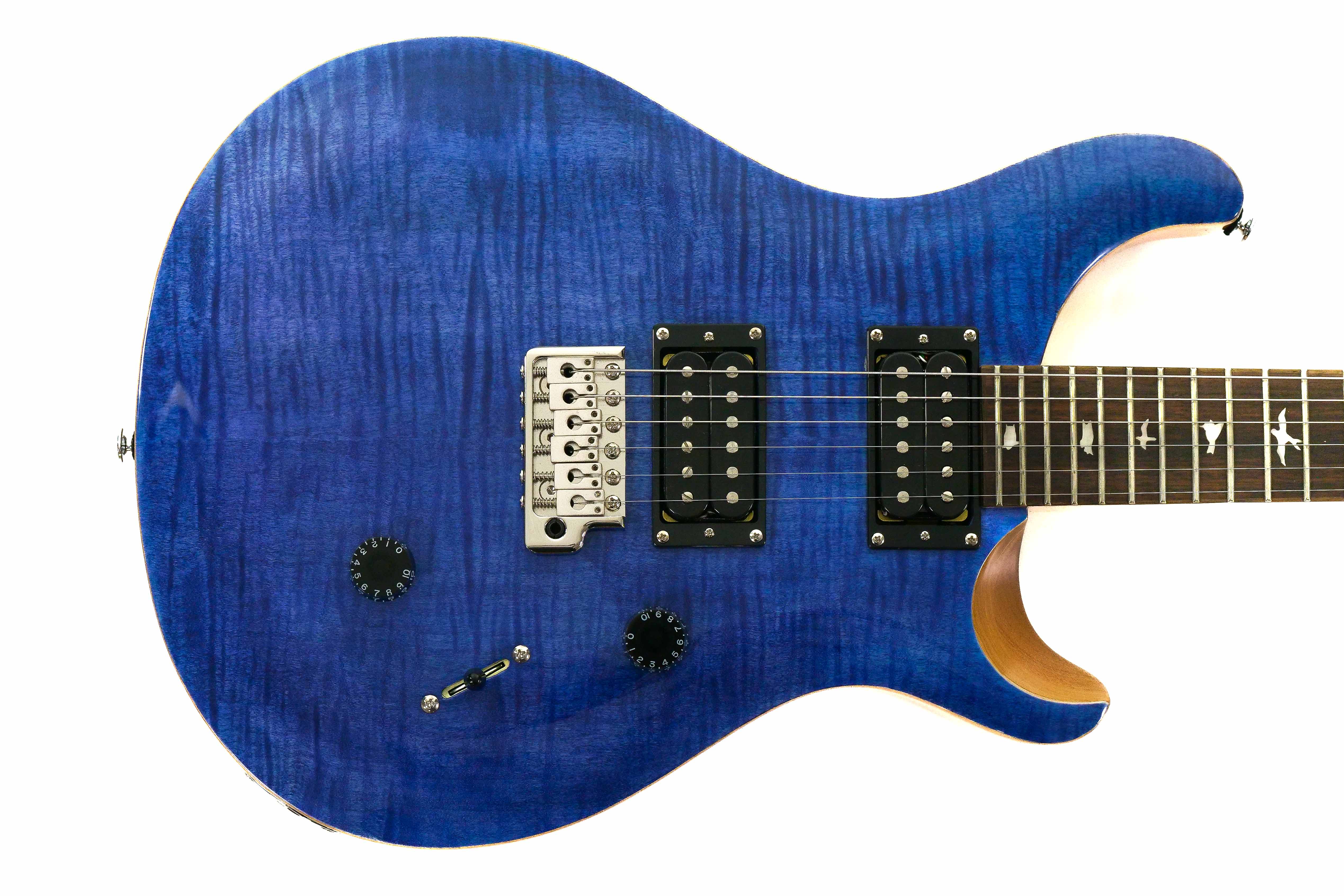 PRS SE Custom24 Electric Guitar - Terry Carter Music Store