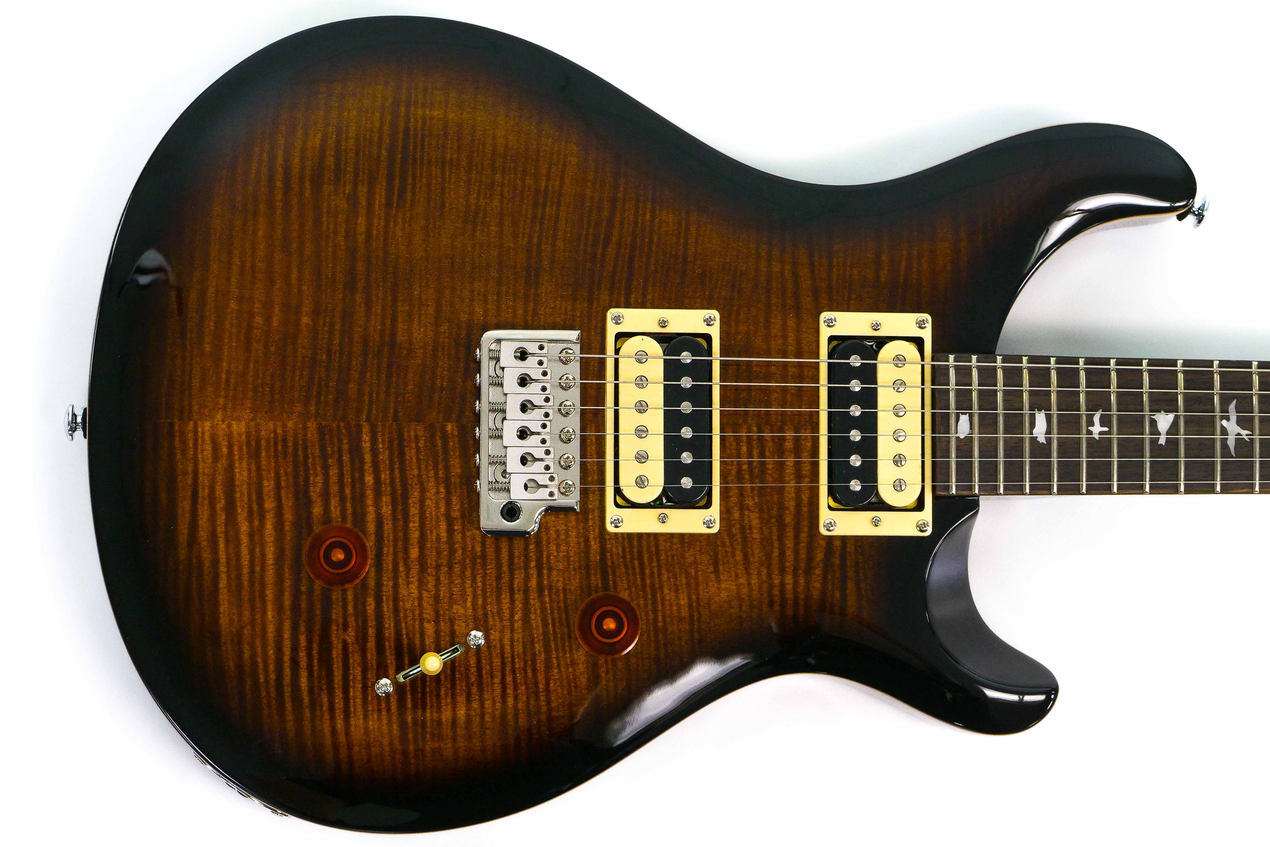 PRS SE Custom24 Guitar - Terry Carter Music Store