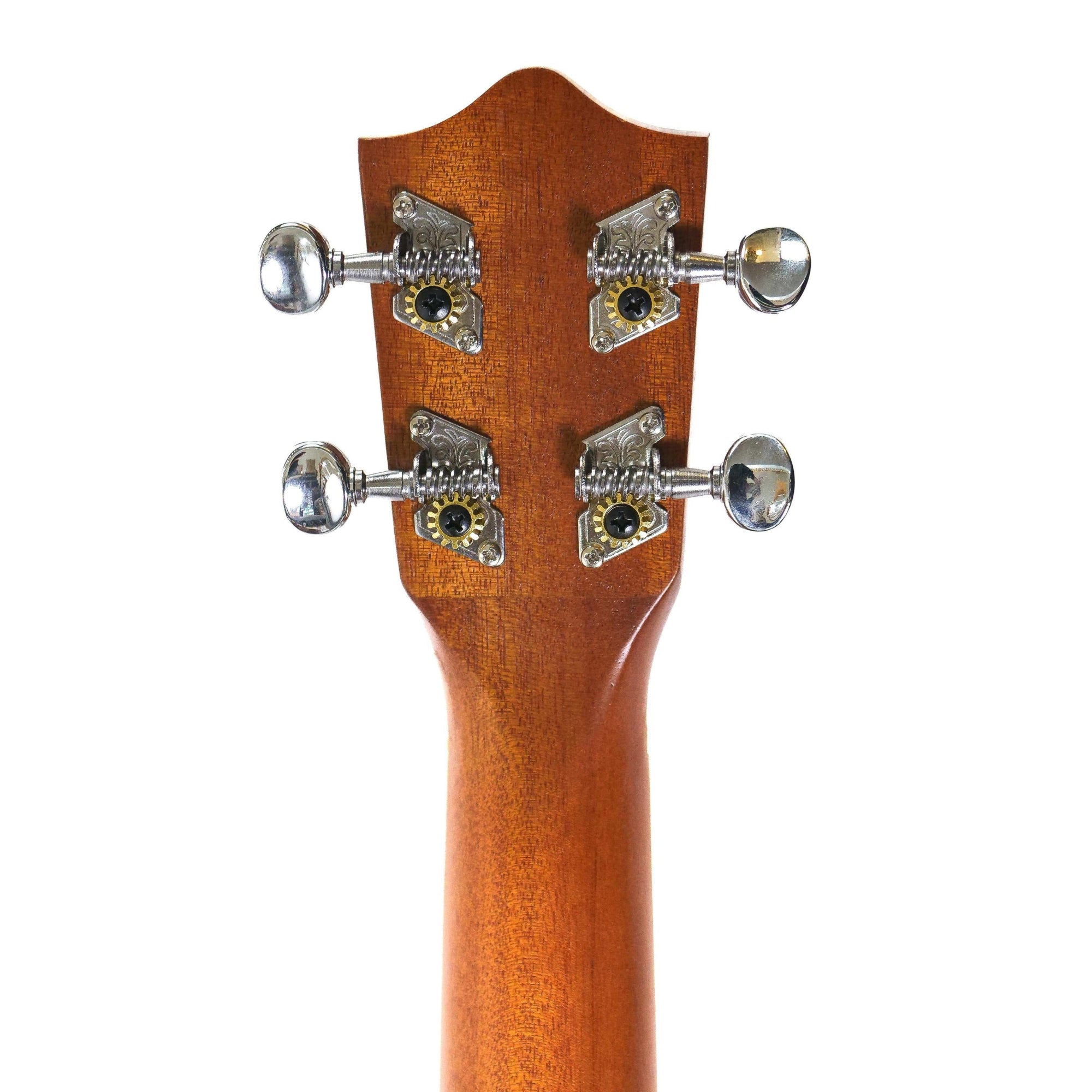 P2133443 | Terry Carter Music Store