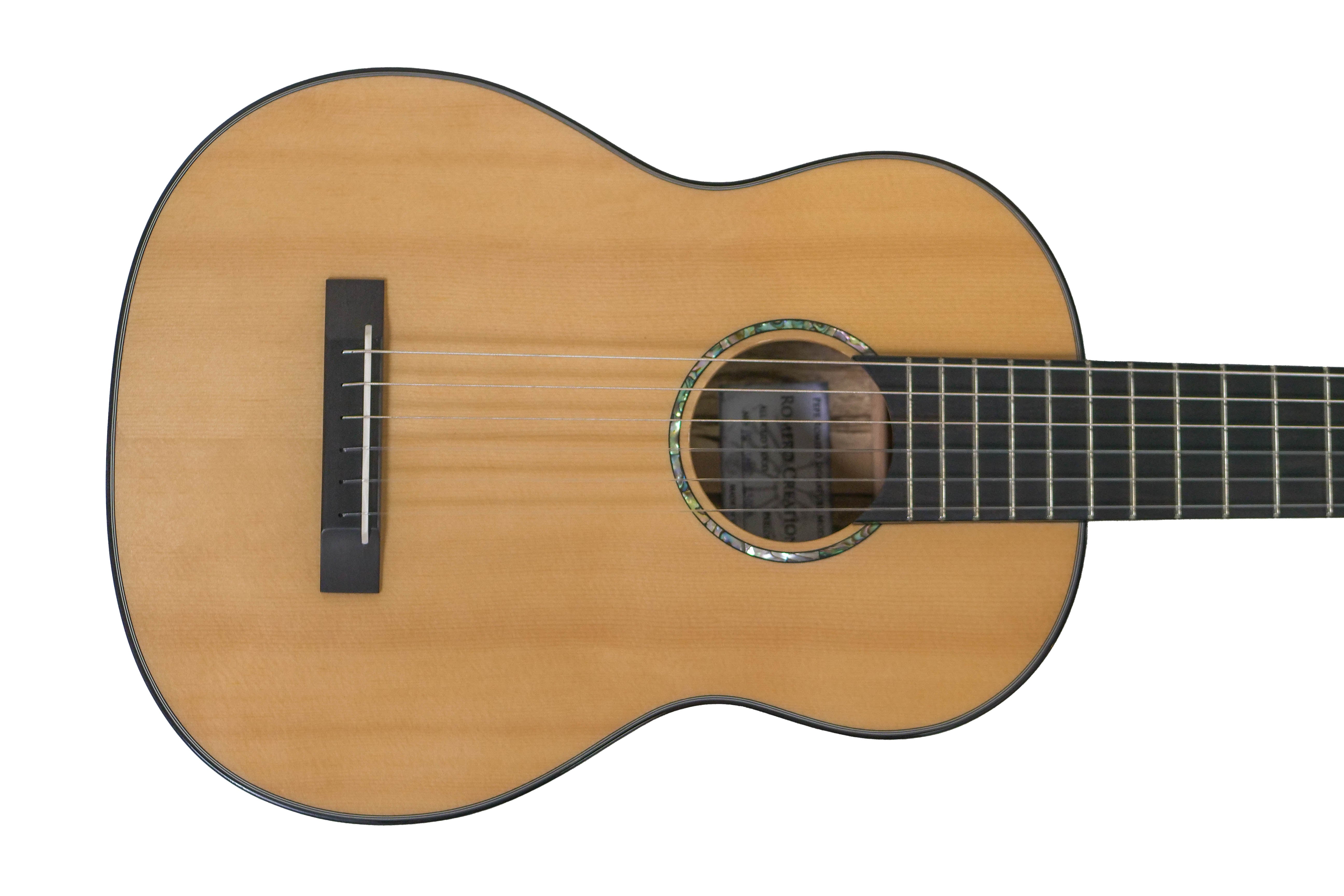 Romero Creation RC-P6-MG Parlor Guitar
