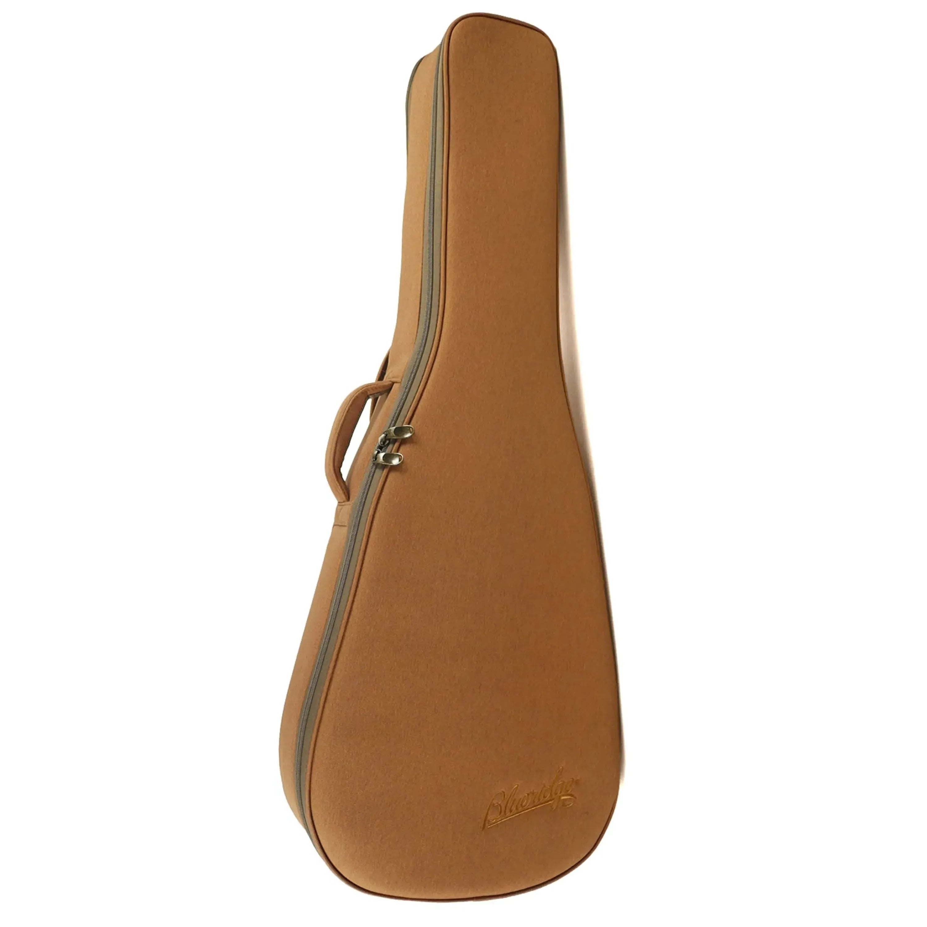 Blueridge BR-341 Parlor Acoustic Guitar