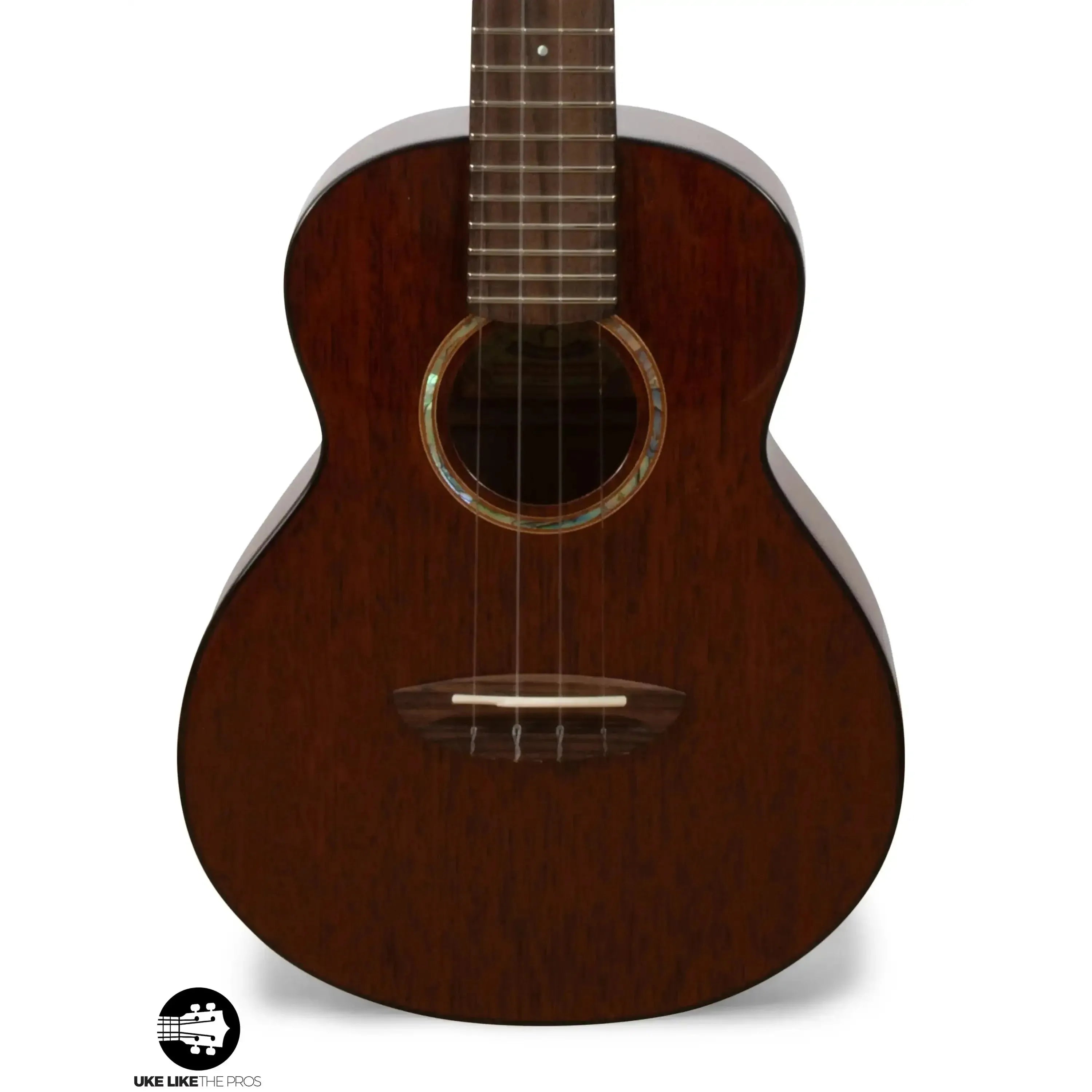 PRO_0110_50bb638d-e6bb-49be-addc-13ce426b614e | Terry Carter Music Store