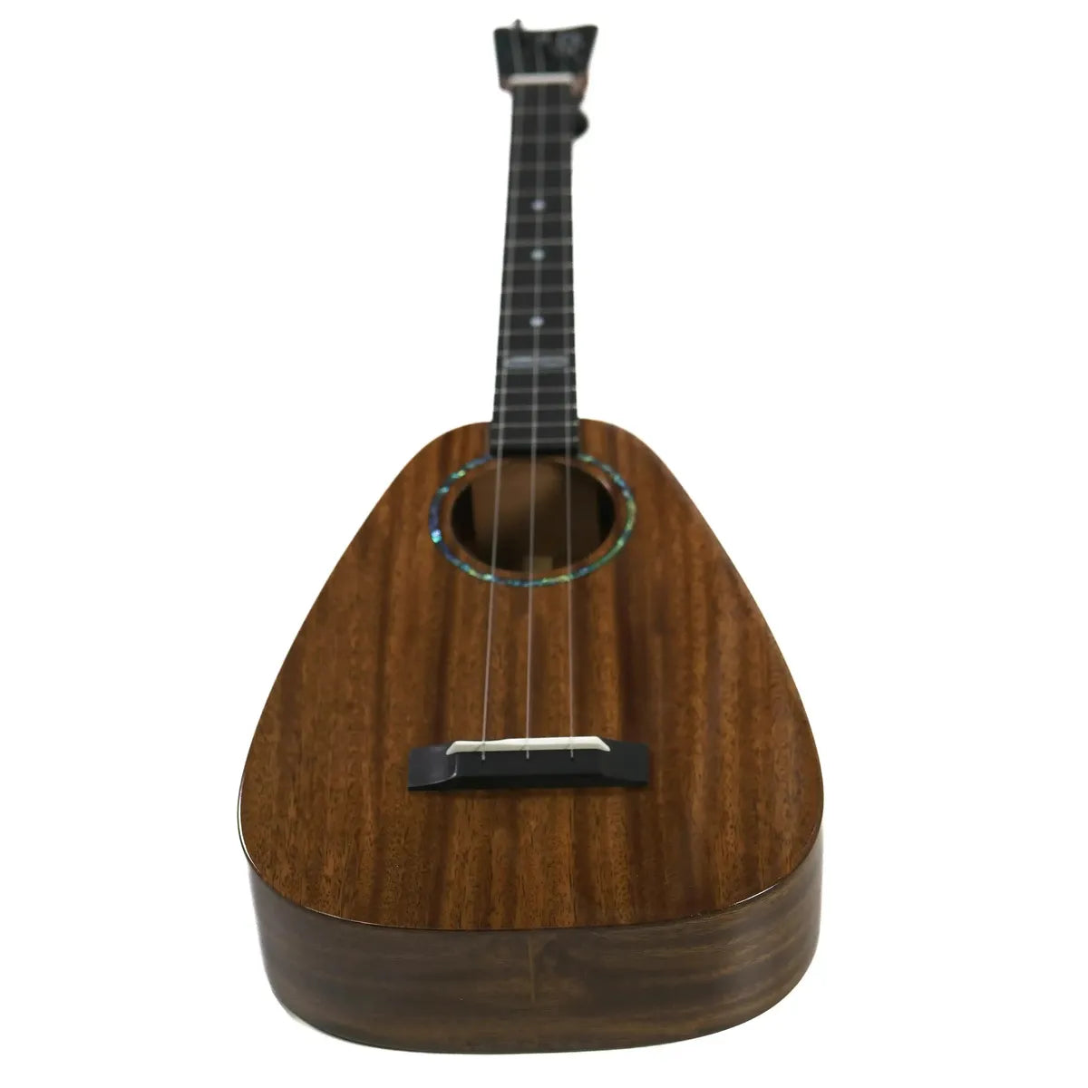 RC-EKOLUSUNNYALL | Terry Carter Music Store