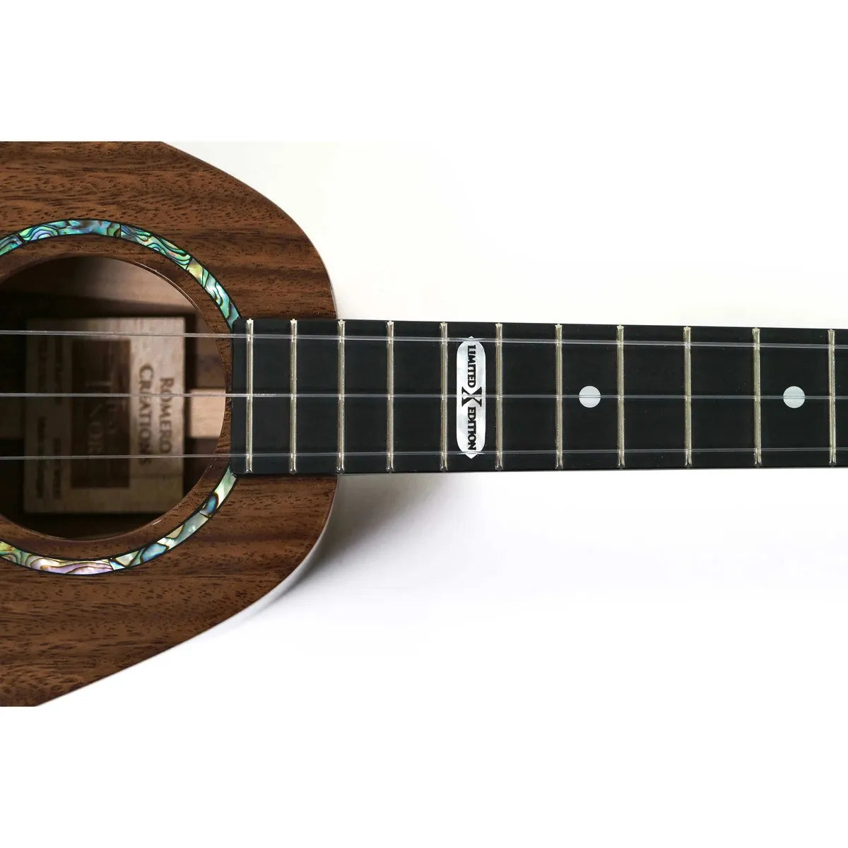 RC-EKOLUSUNNYFRETBOARD | Terry Carter Music Store