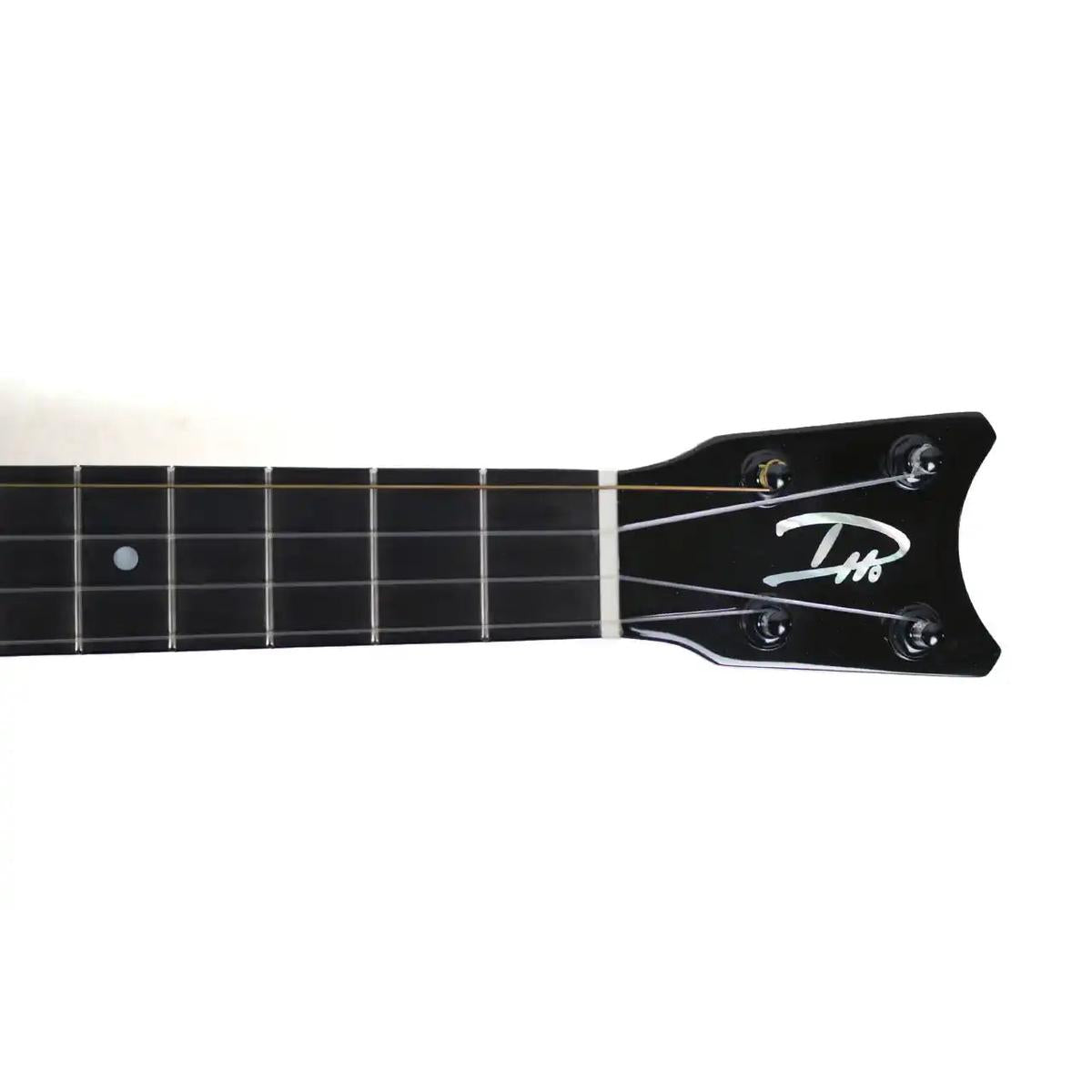 RC-TT-X-2 | Terry Carter Music Store