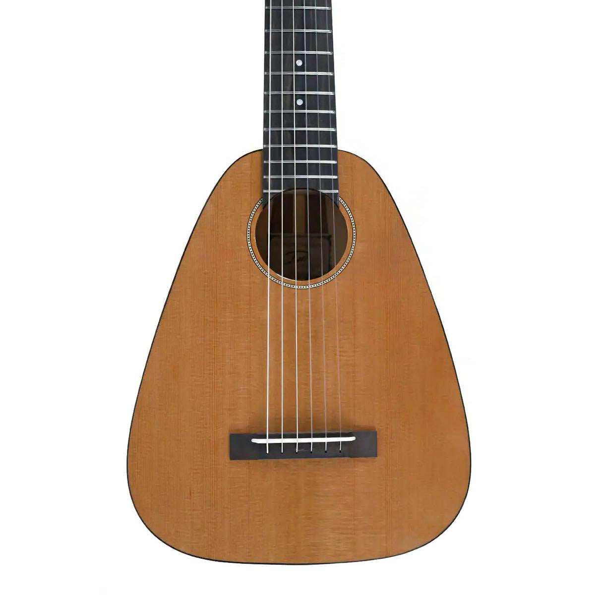RC_DH06_VIBRANTE_1 | Terry Carter Music Store