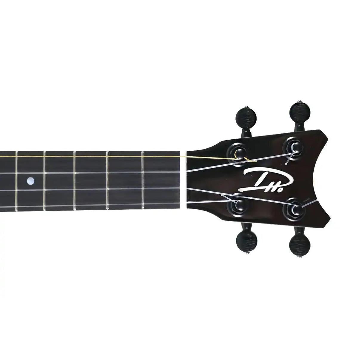 RC_TTMG_1_2 | Terry Carter Music Store