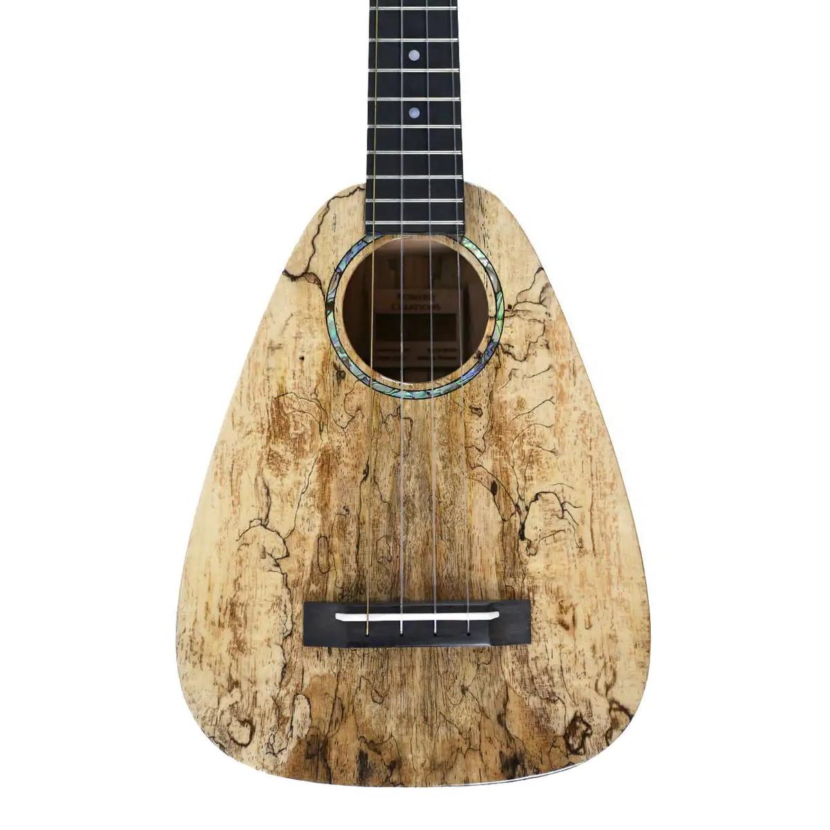 RC_TTMG_2_1 | Terry Carter Music Store