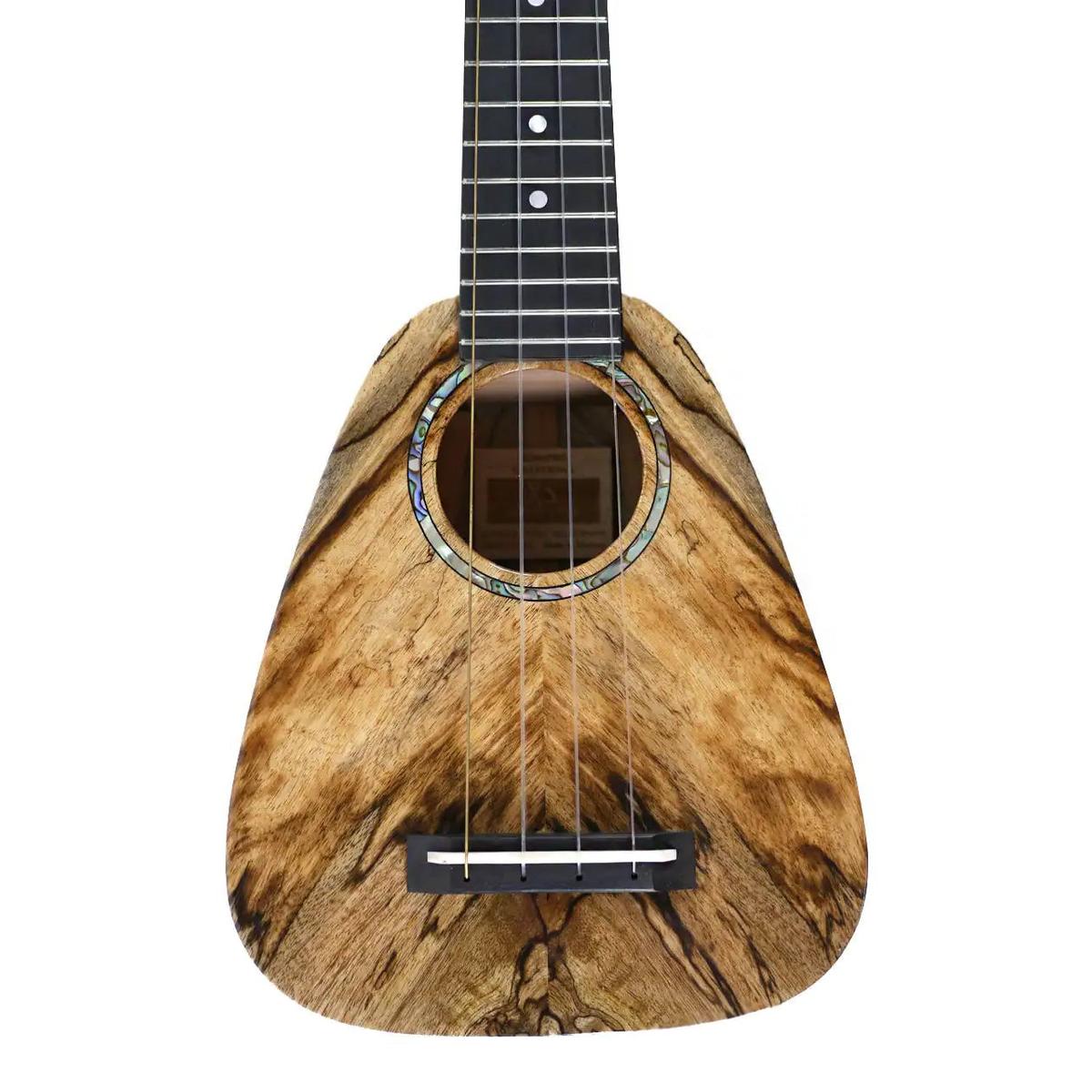 RC_XSMG_1_1 | Terry Carter Music Store