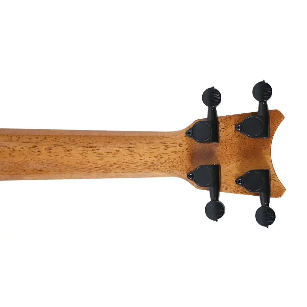 RC_XSMG_1_4_62c14ed0-1f48-4b50-94af-d27ec83cc8af | Terry Carter Music Store