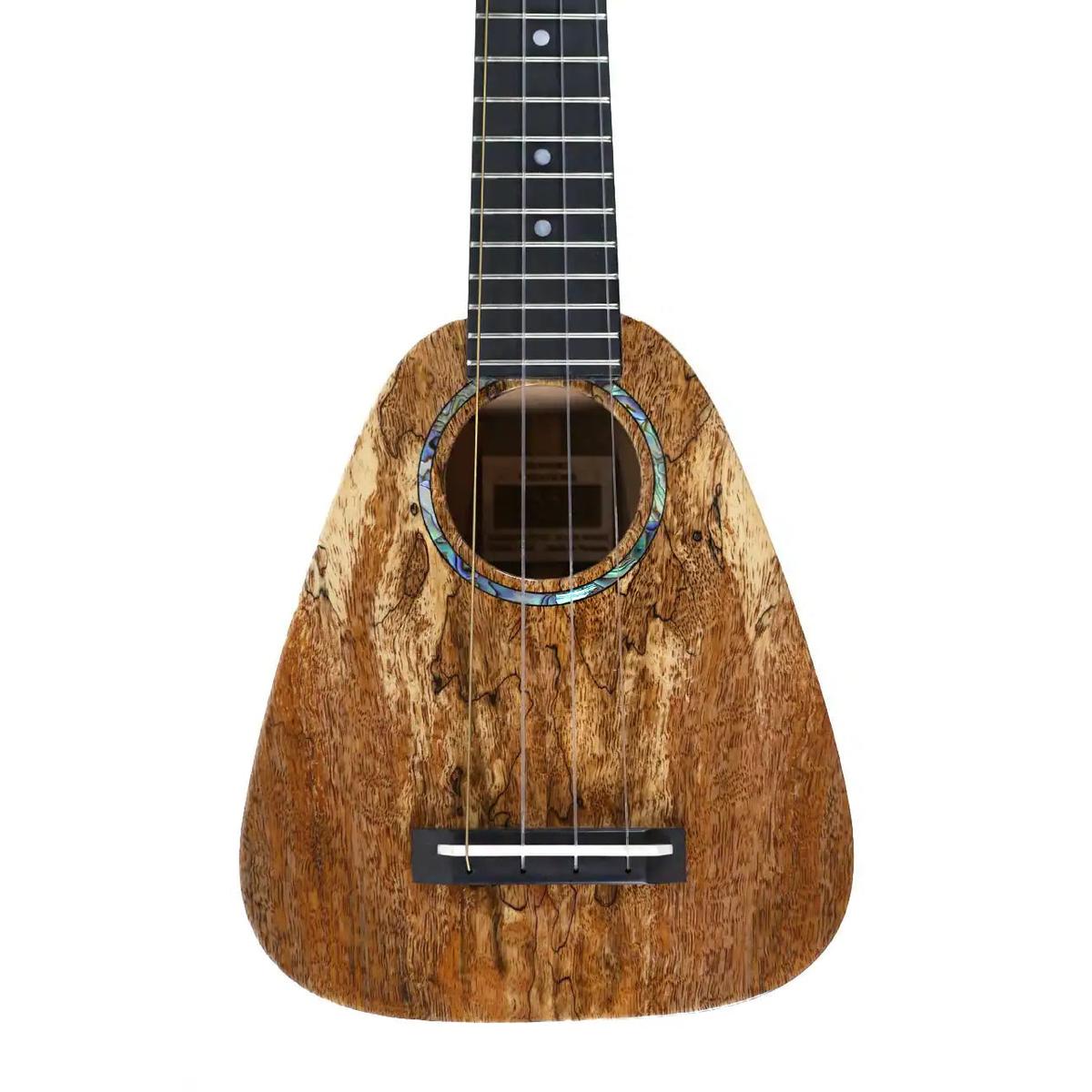 RC_XSMG_2_1 | Terry Carter Music Store