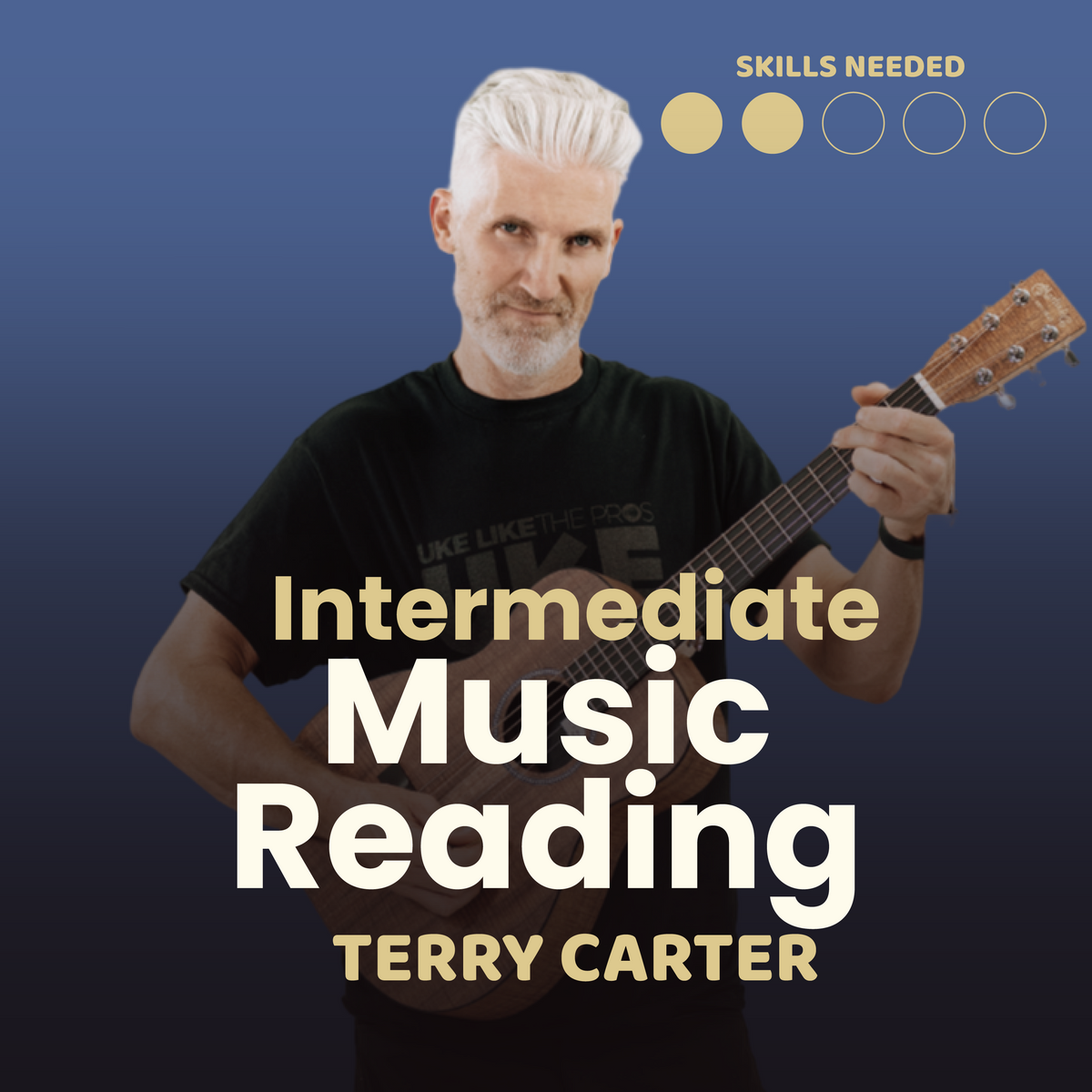 Intermediate Guitar Music Reading Course - Rock Like The Pros