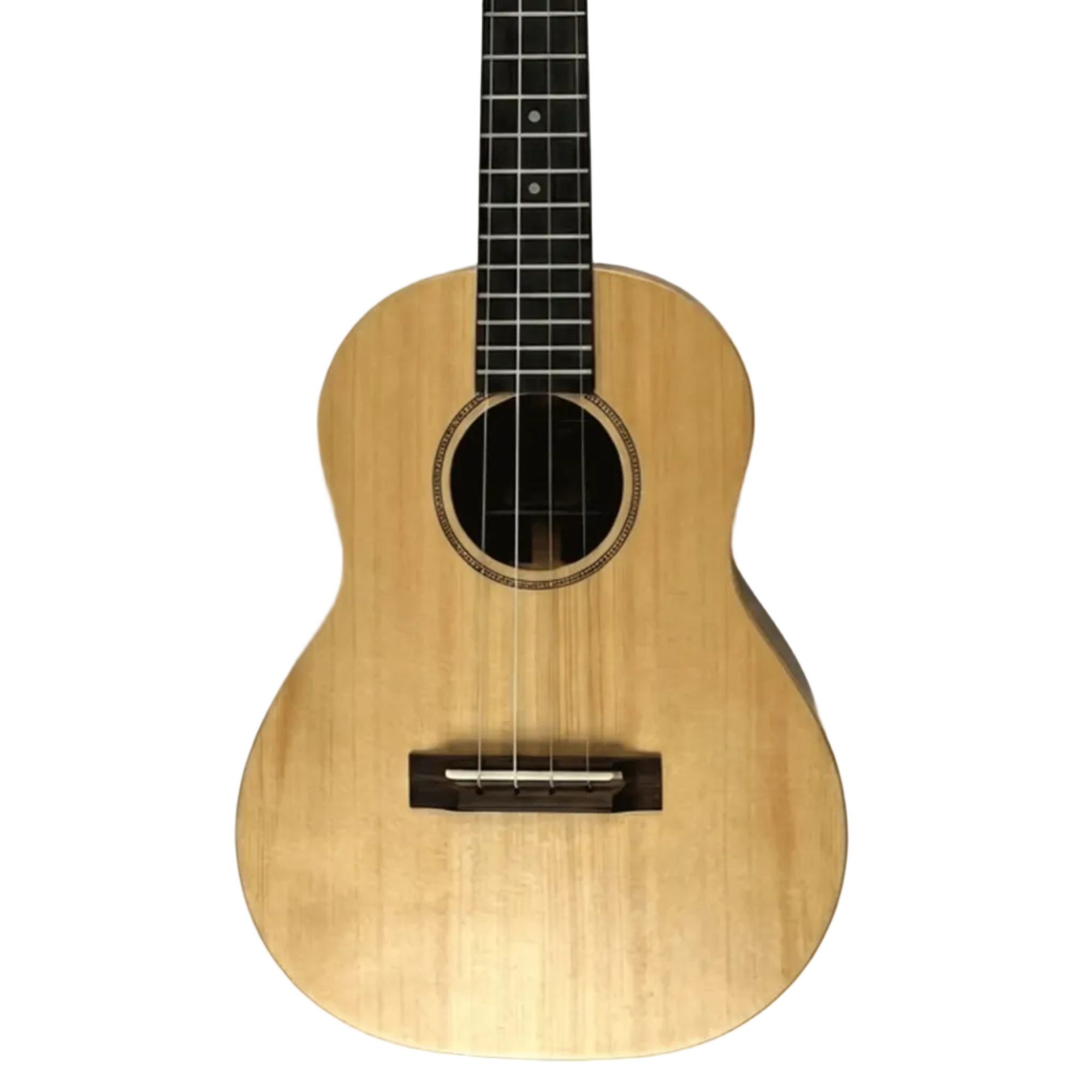 Romero-Creations-GTV-S-PF4 | Terry Carter Music Store
