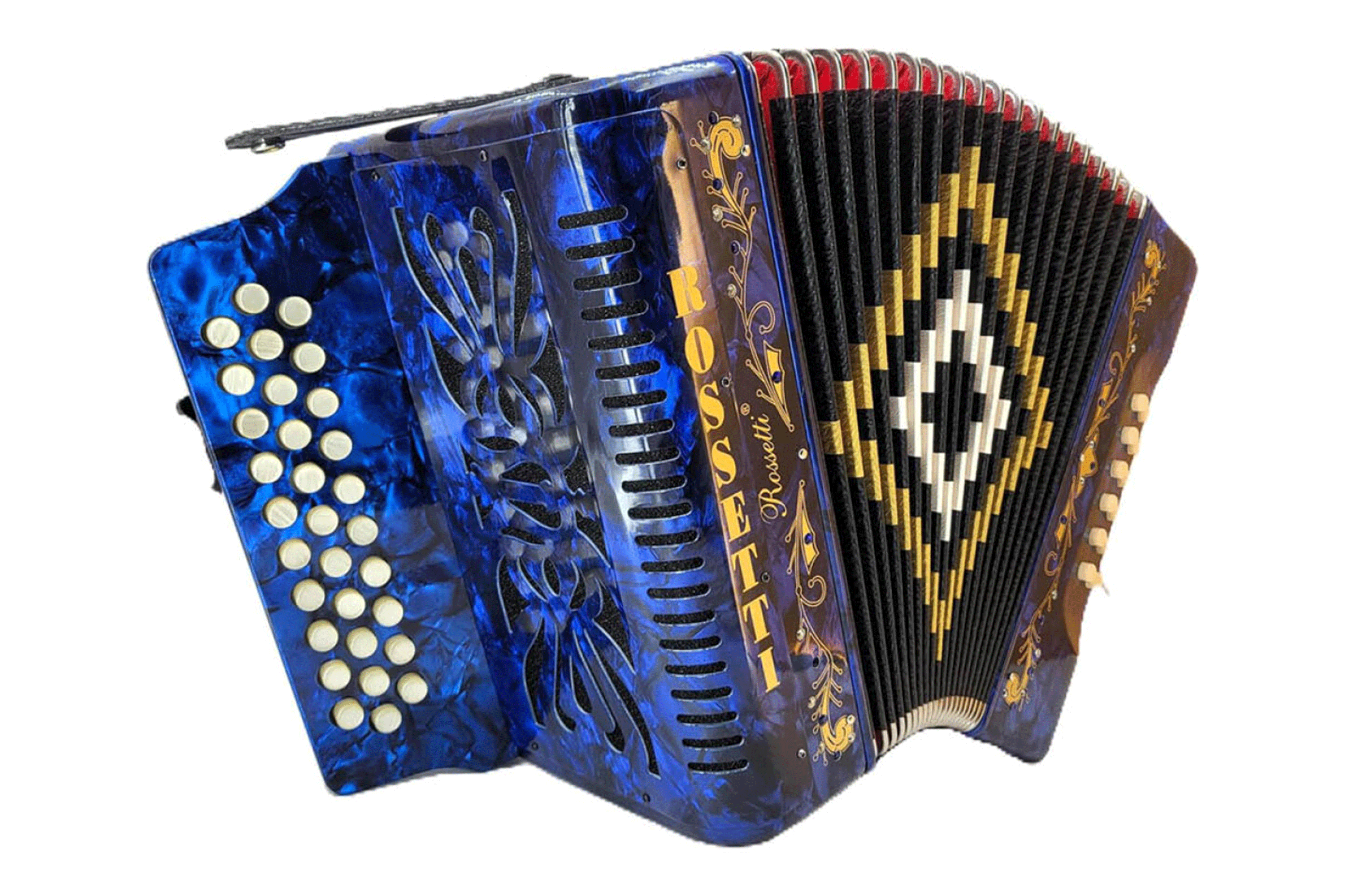 Rossetti 3112-GCF-BU 31 Button Diatonic Button Accordion - Terry