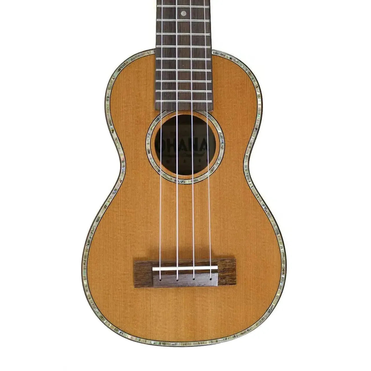 SK_250M_1 | Terry Carter Music Store