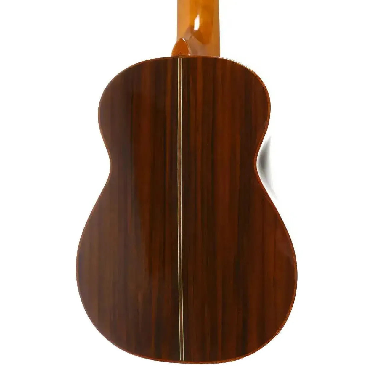 SK_50G_3 | Terry Carter Music Store