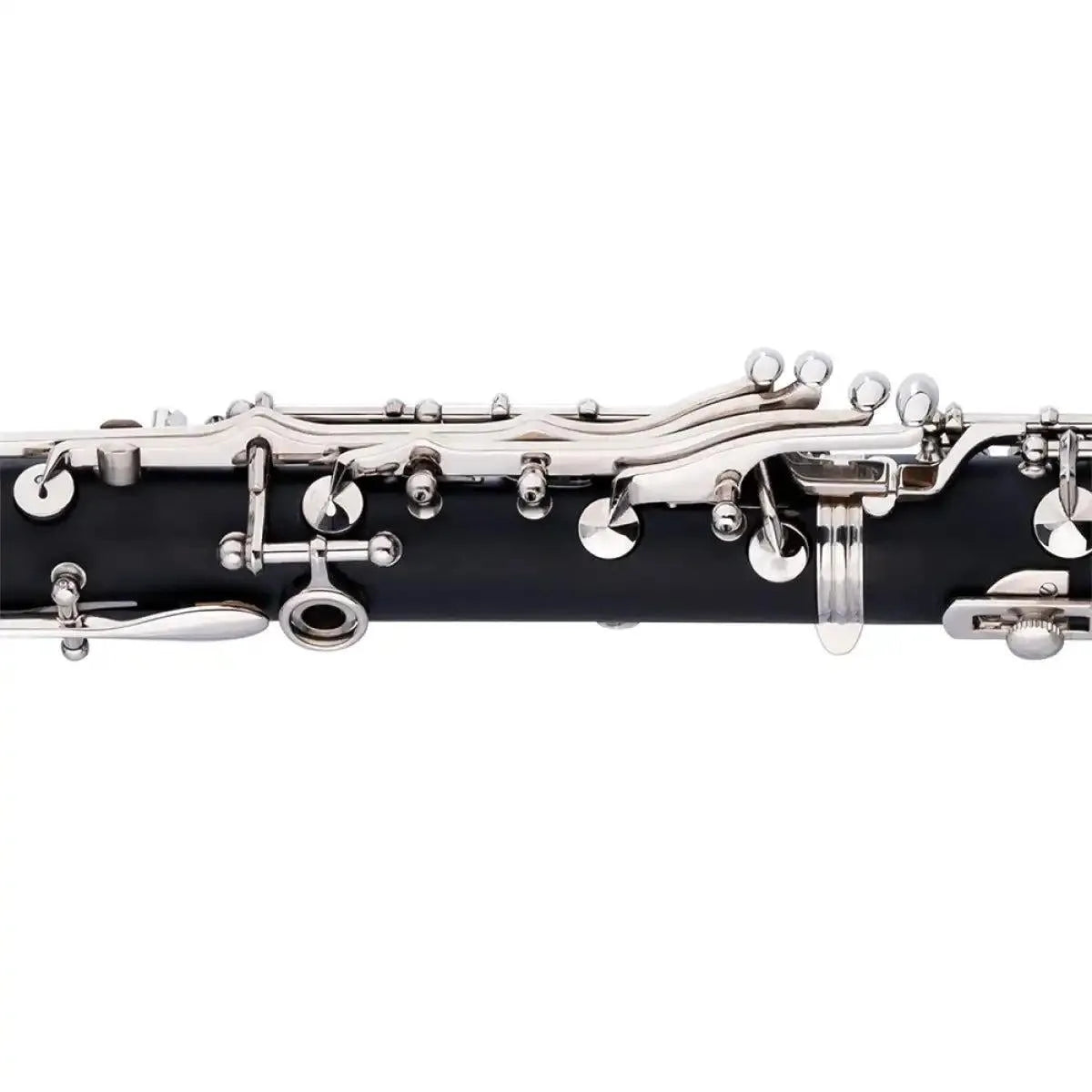 STAG-LV-CL4100-21902_4_29629 | Terry Carter Music Store