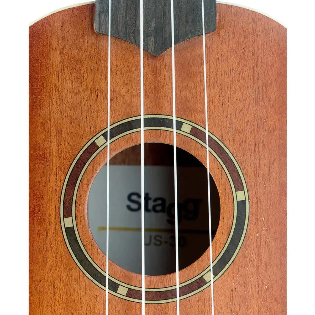 STAG-US-30-24164_3_19835 | Terry Carter Music Store