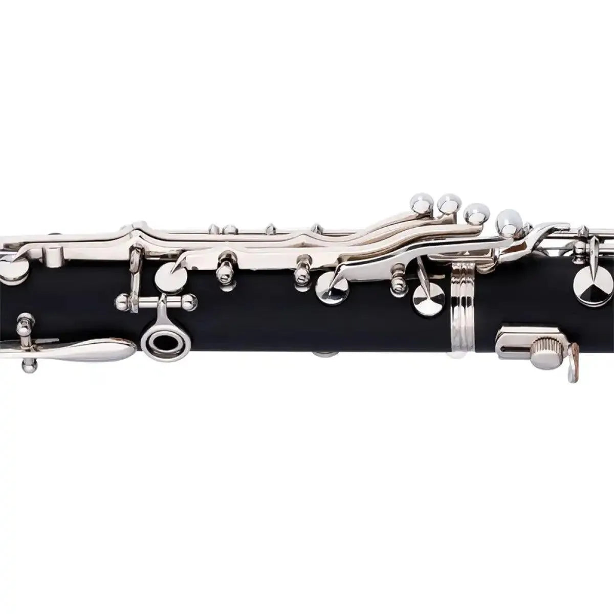 STAG-WS-CL210S-21033_4_29624 | Terry Carter Music Store
