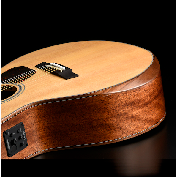 Walden G740RE-G Fishman Presys II pickup controls