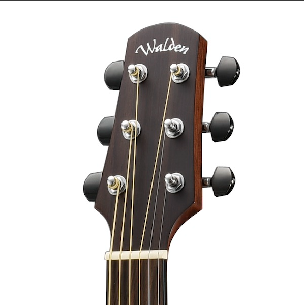 Walden G803RE-G Fishman Presys II pickup controls