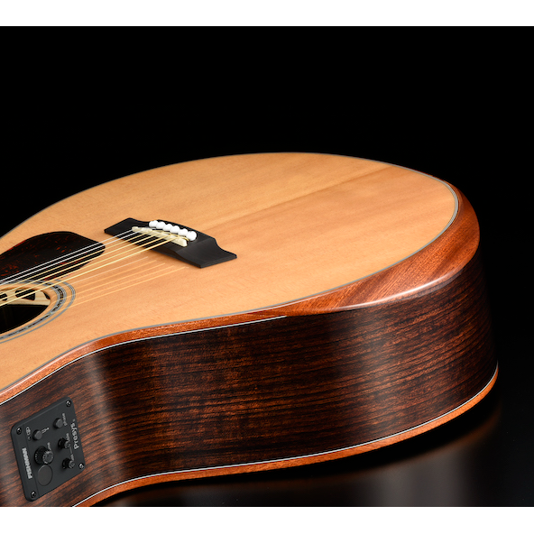 Walden G803RE-G headstock with chrome tuners, black buttons