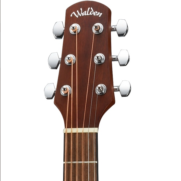 Walden F255CE soundhole and top detail